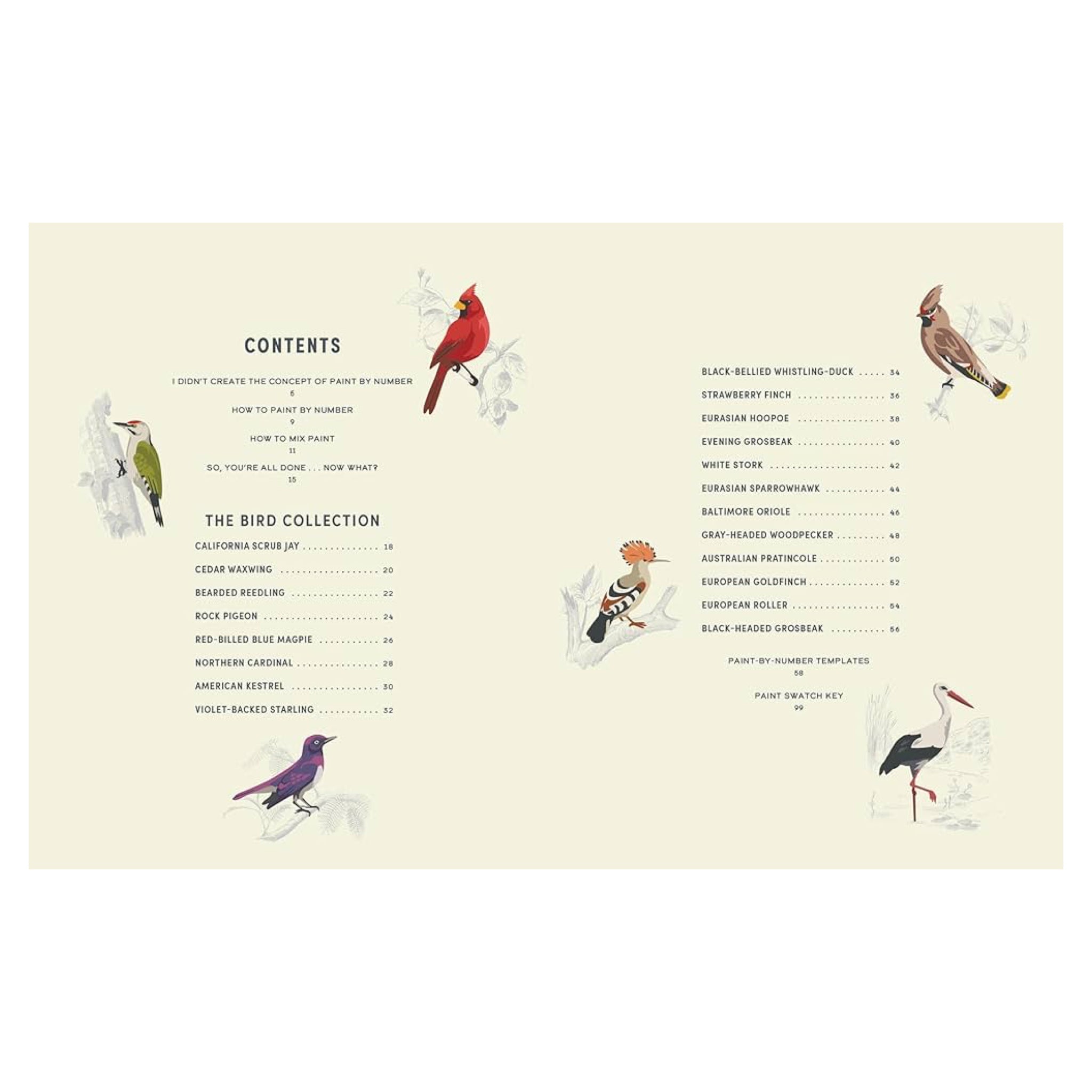 Coloready Birds: 20 Modern Paint - by - Number Prints - bubblegum market
