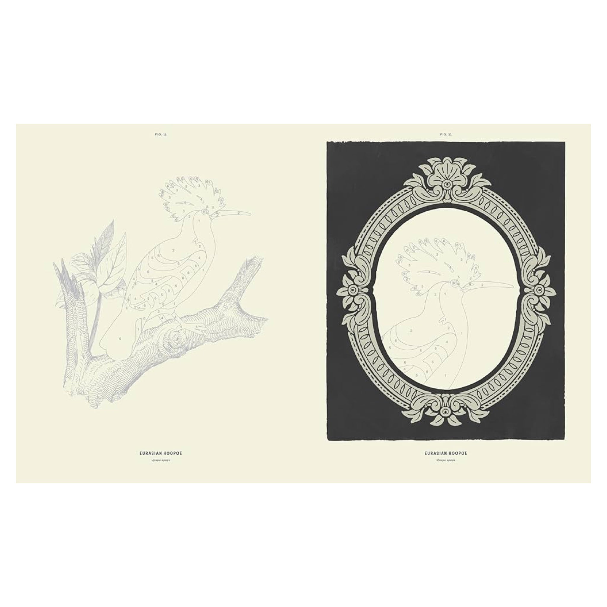 Coloready Birds: 20 Modern Paint - by - Number Prints - bubblegum market