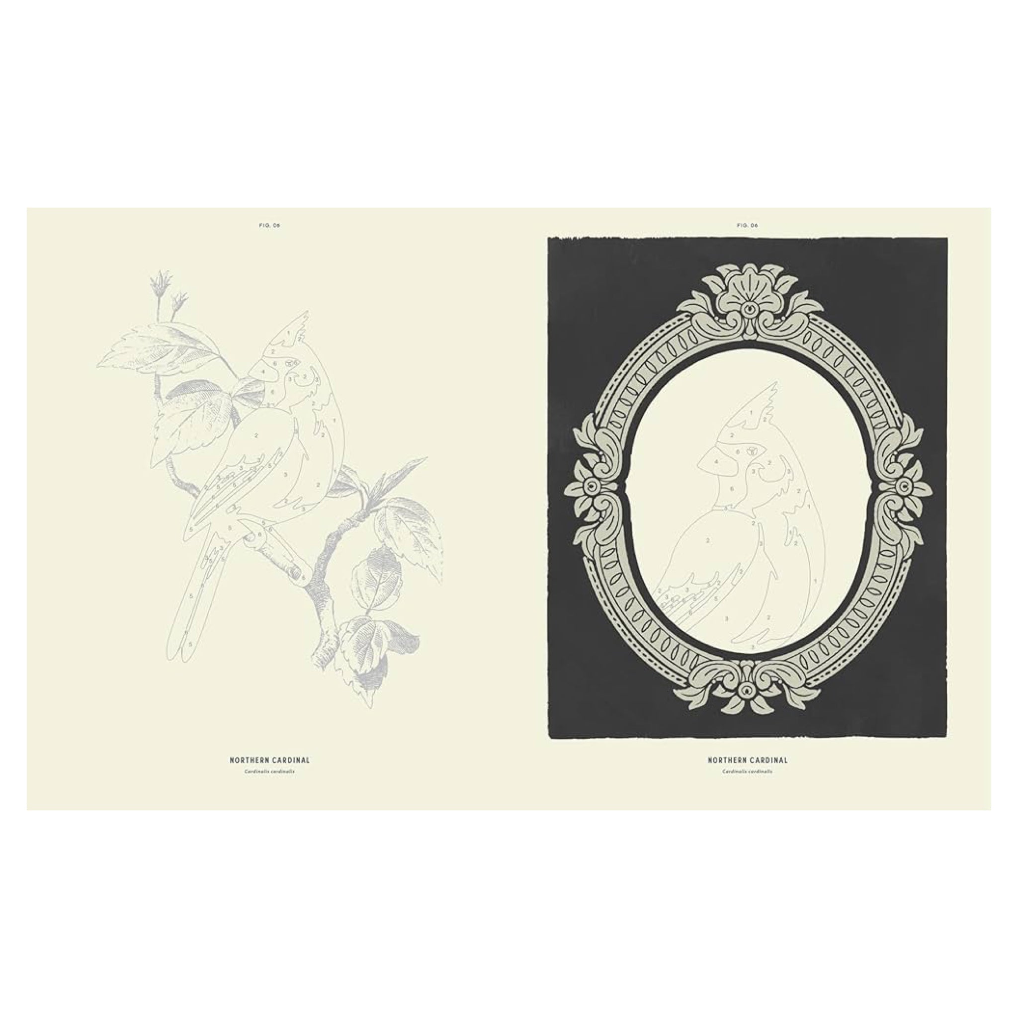 Coloready Birds: 20 Modern Paint - by - Number Prints - bubblegum market