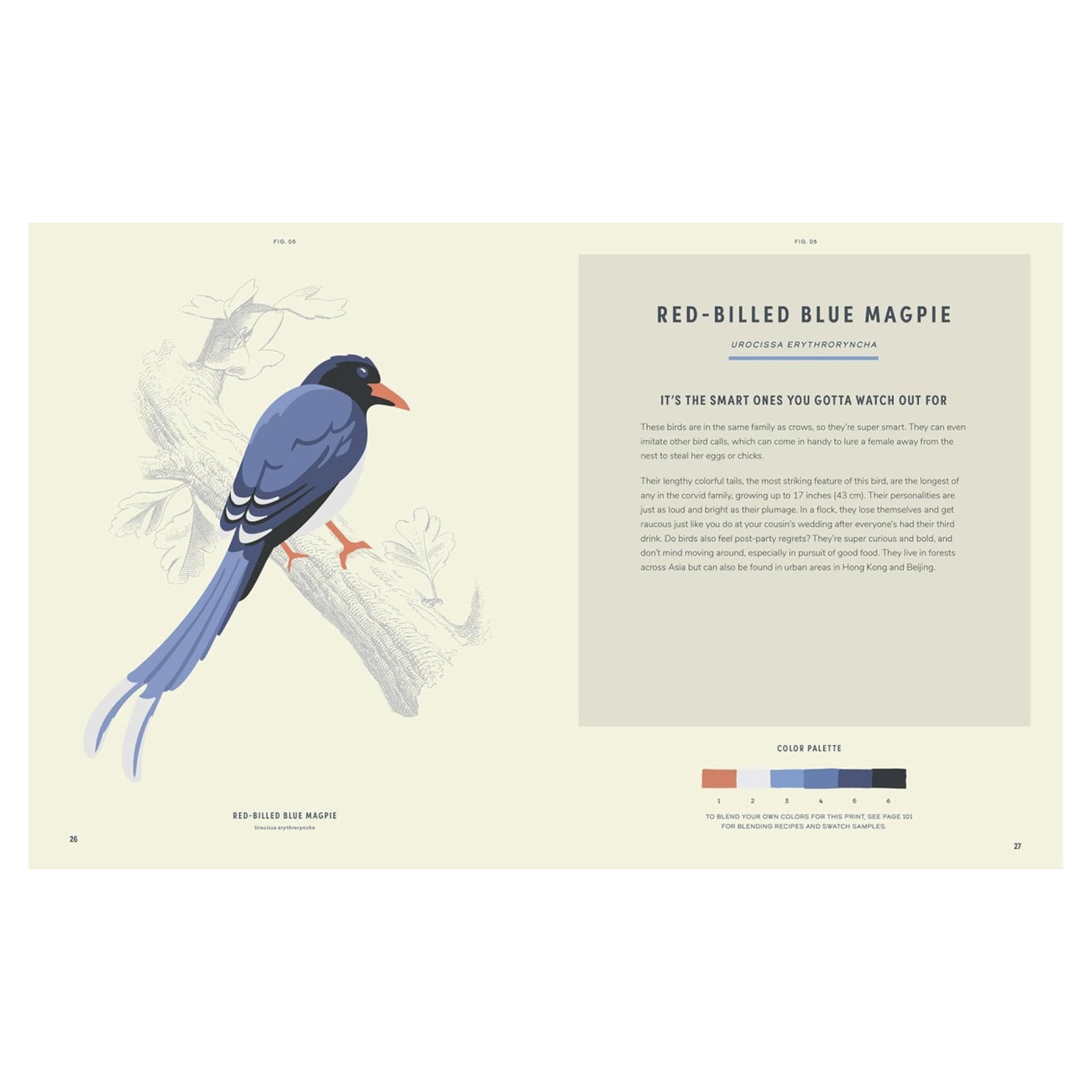 Coloready Birds: 20 Modern Paint - by - Number Prints - bubblegum market