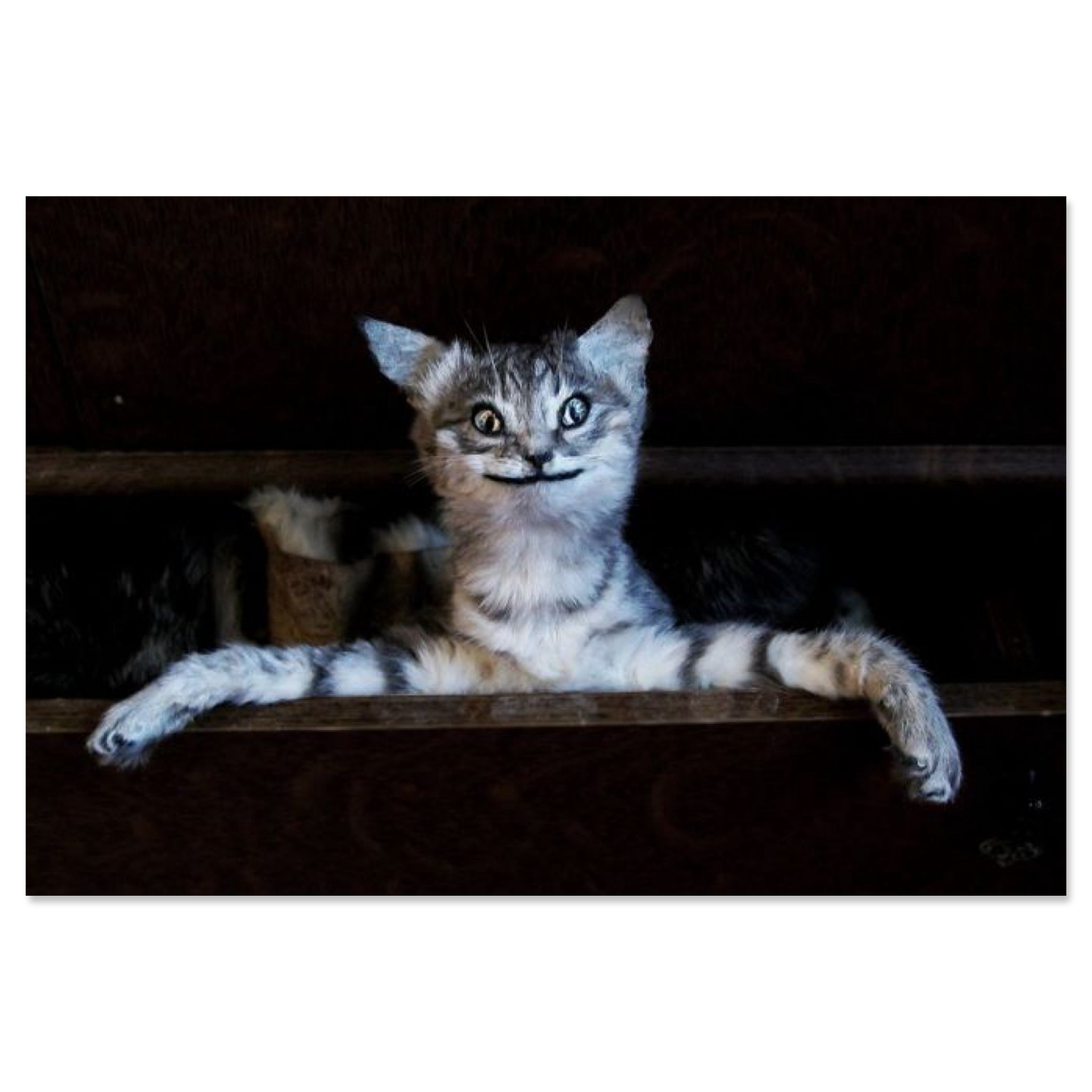 Crap Taxidermy - bubblegum market