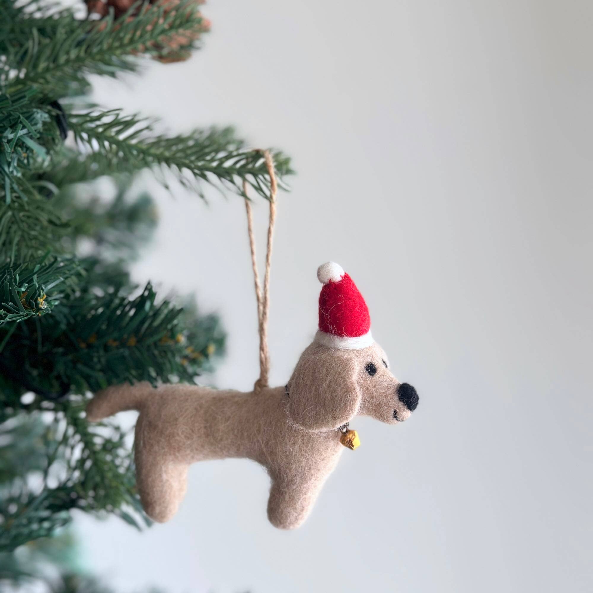 Cream - Colored Dachshund with Santa Hat Ornament 4" - bubblegum market