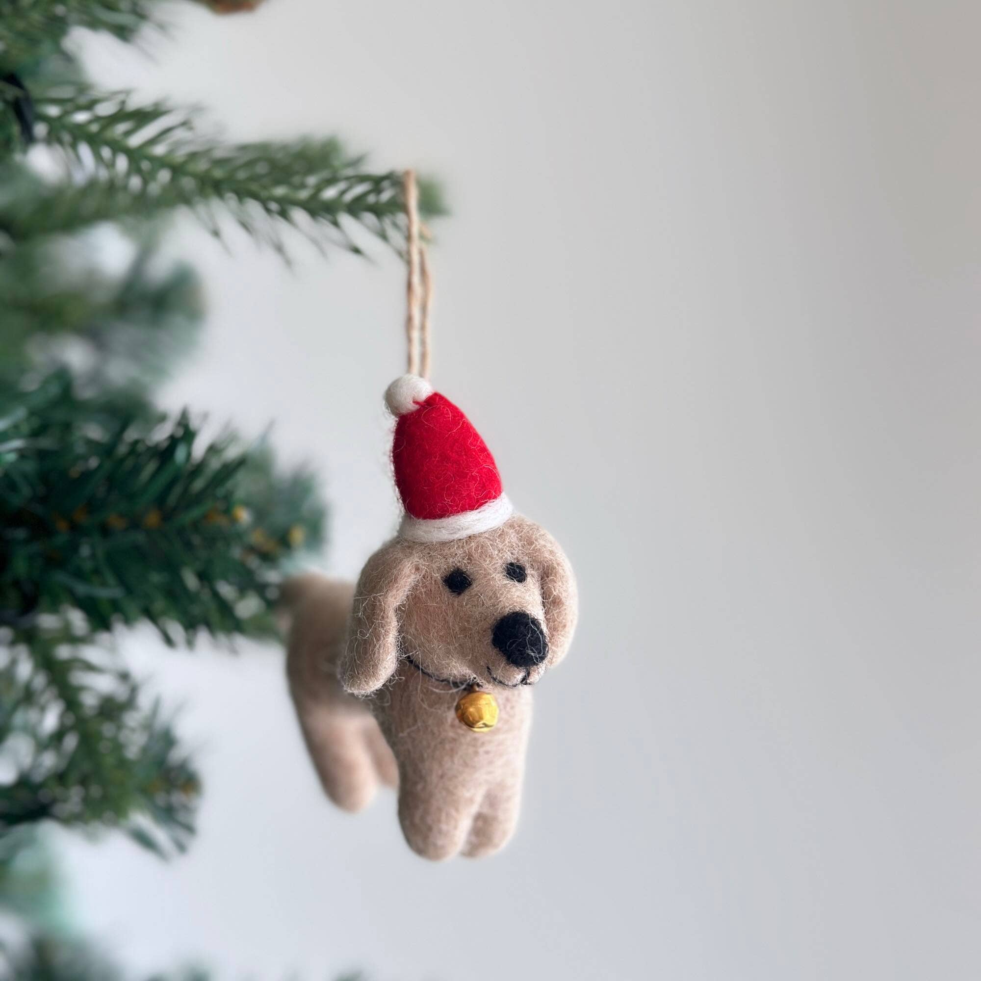 Cream - Colored Dachshund with Santa Hat Ornament 4" - bubblegum market