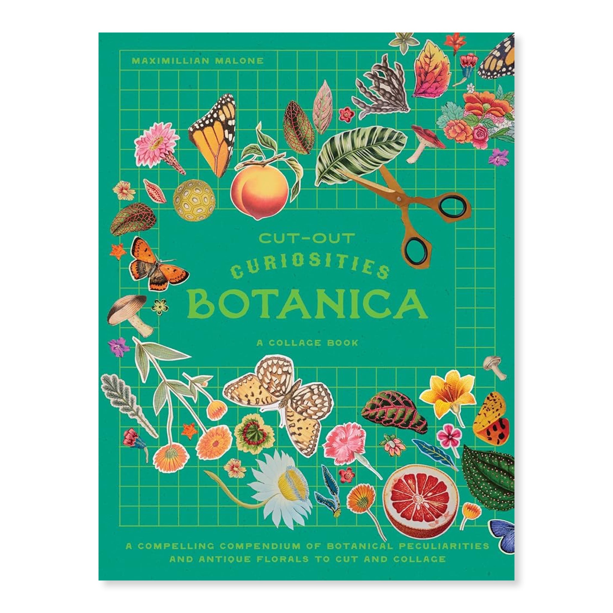 Cut - out Curiosities: Botanica | A Collage Book - bubblegum market