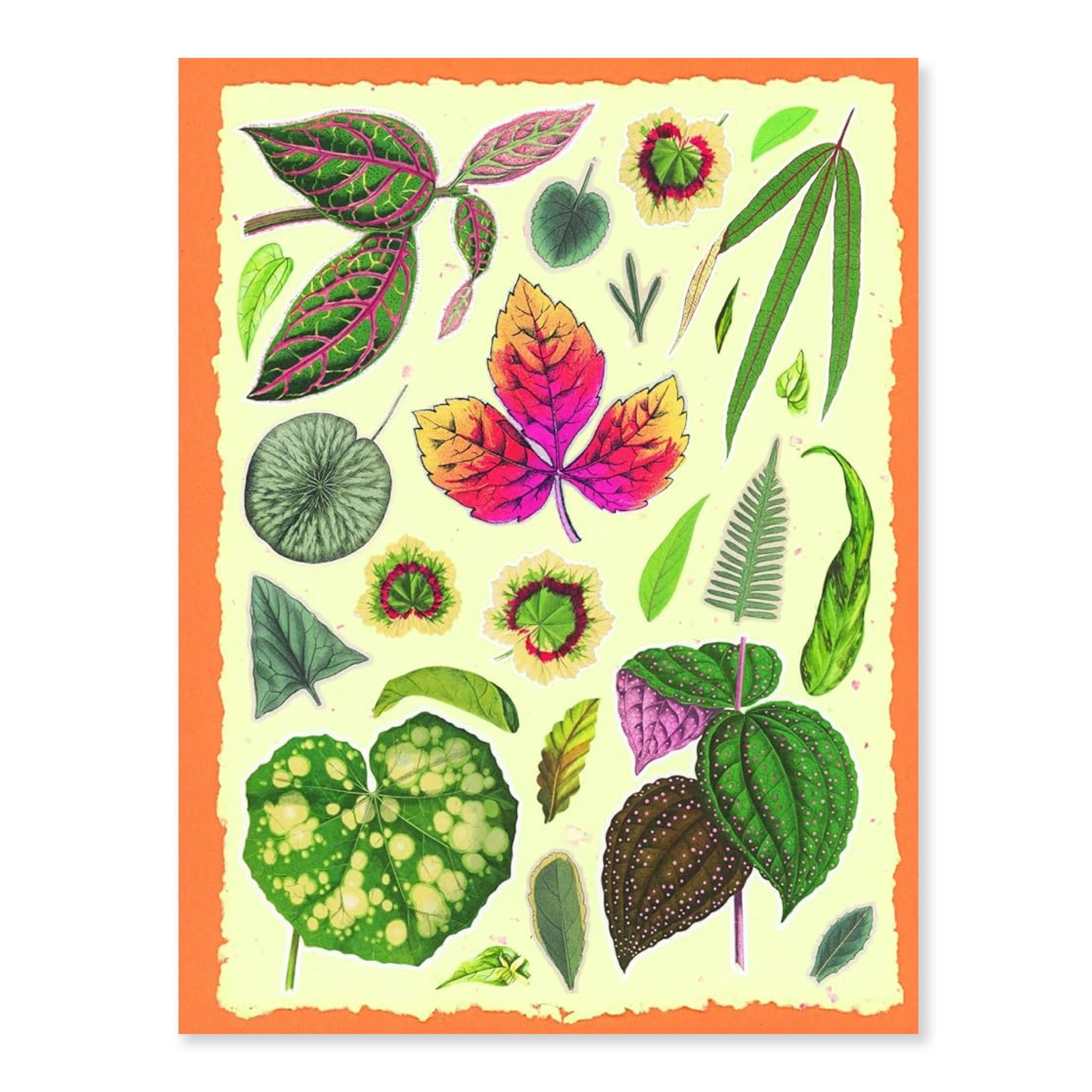 Cut - out Curiosities: Botanica | A Collage Book - bubblegum market