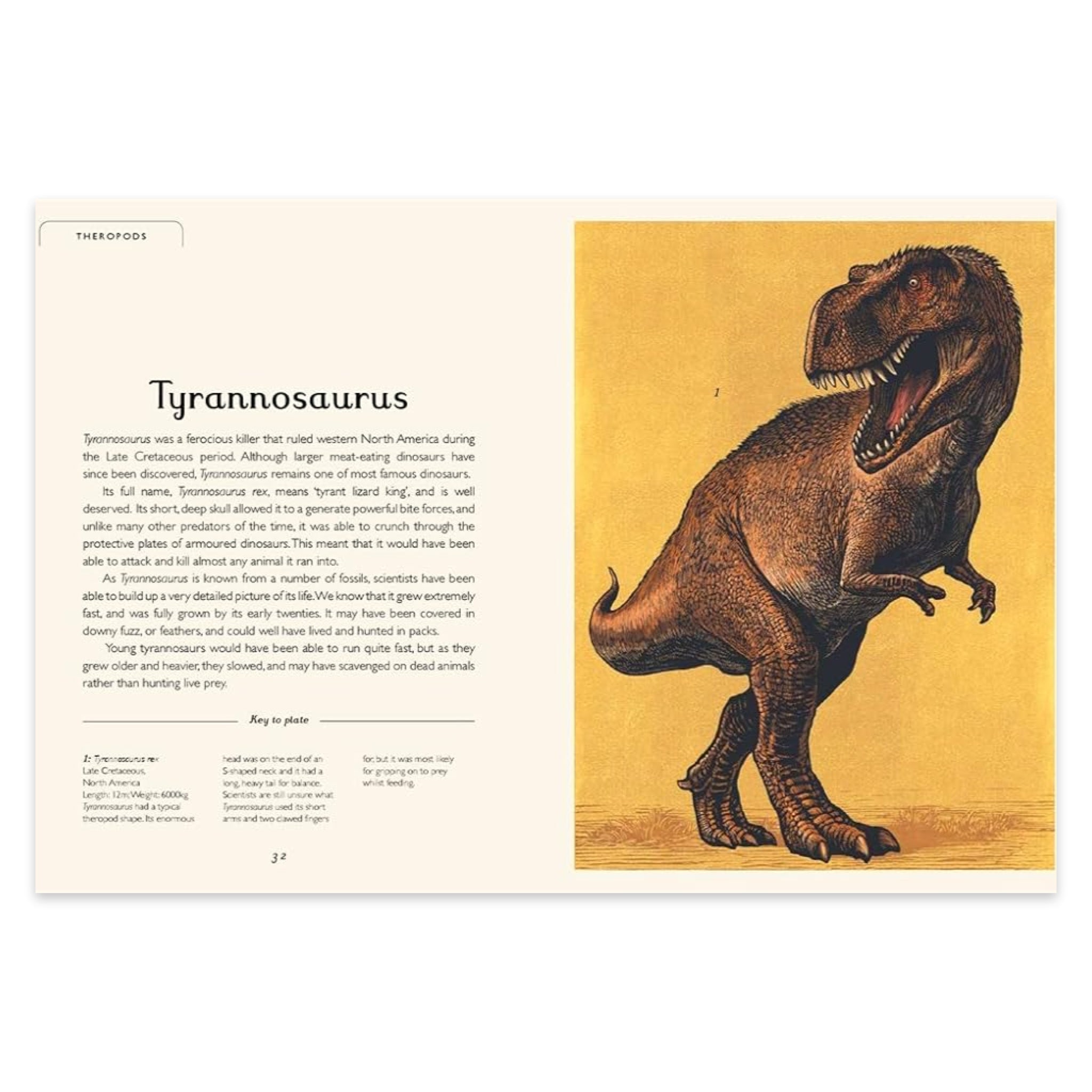 Dinosaurium: Welcome to the Museum - bubblegum market