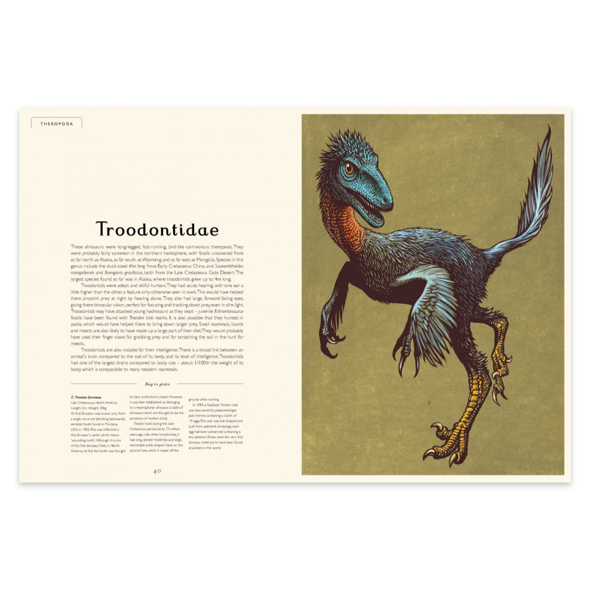 Dinosaurium: Welcome to the Museum - bubblegum market