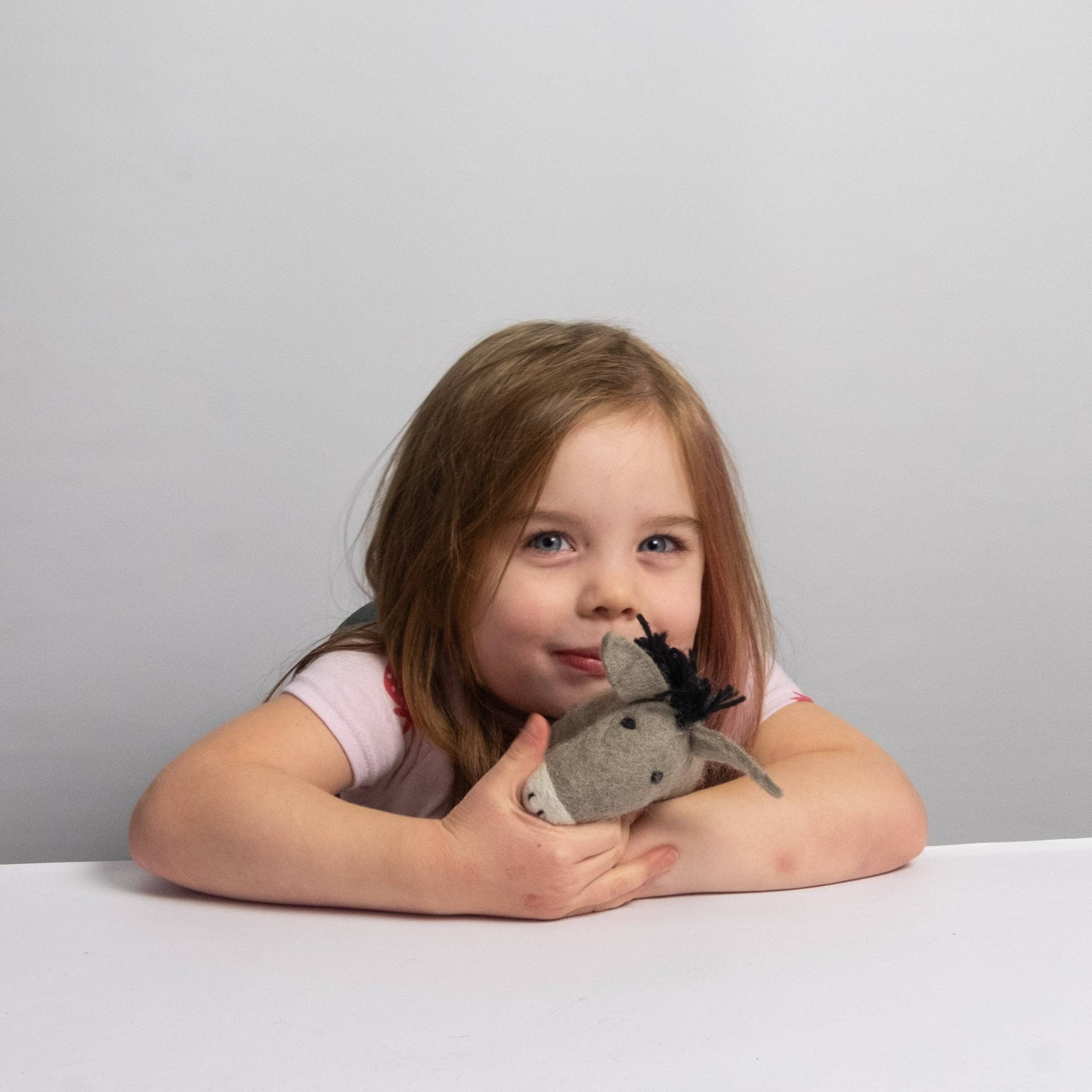 Dudley the Donkey Soft Toy - bubblegum market