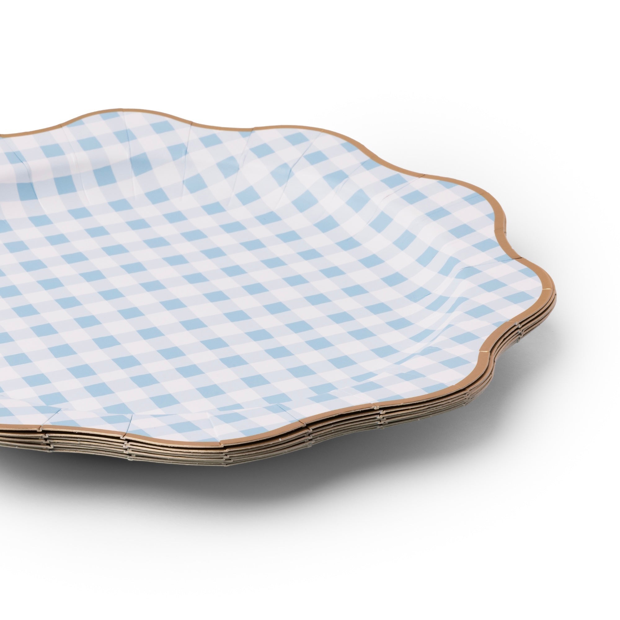Elegant Sky Blue Gingham Dinner Plates 11" - bubblegum market