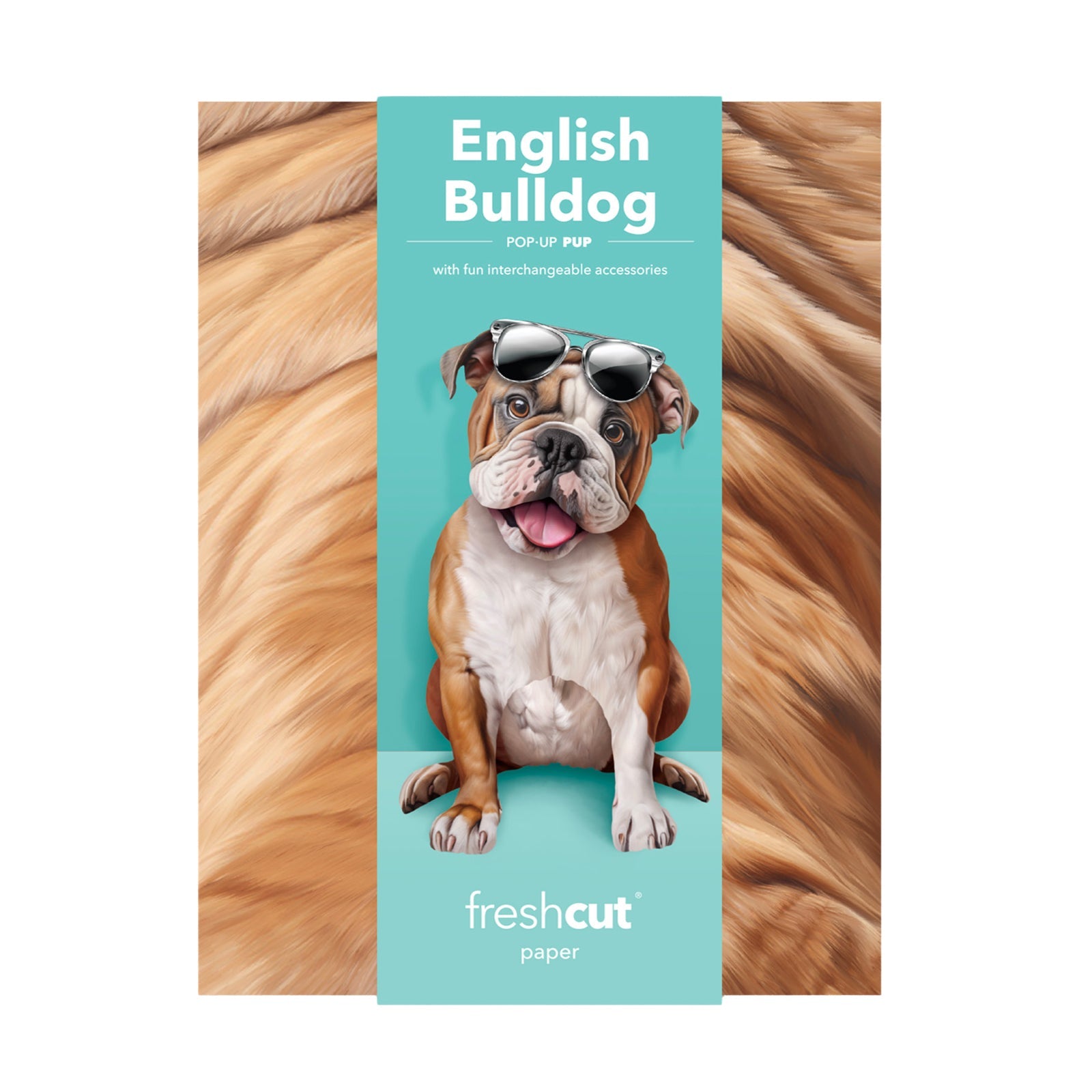 English Bulldog Pop - Up Pet Card - bubblegum market