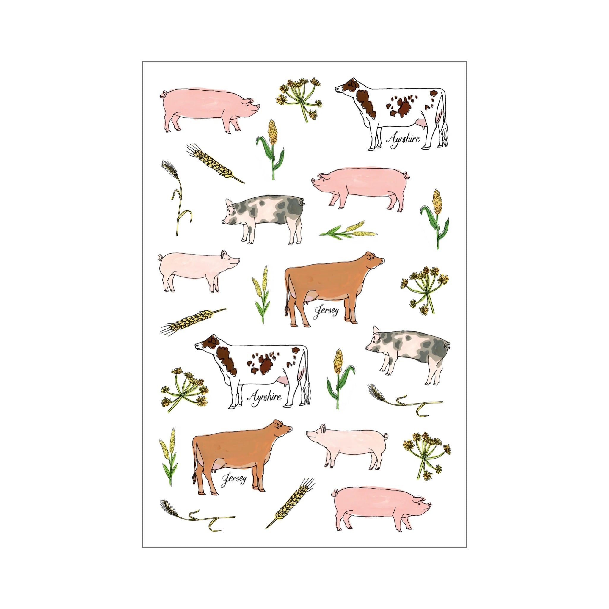 Farm Anatomy Sticker Book - bubblegum market
