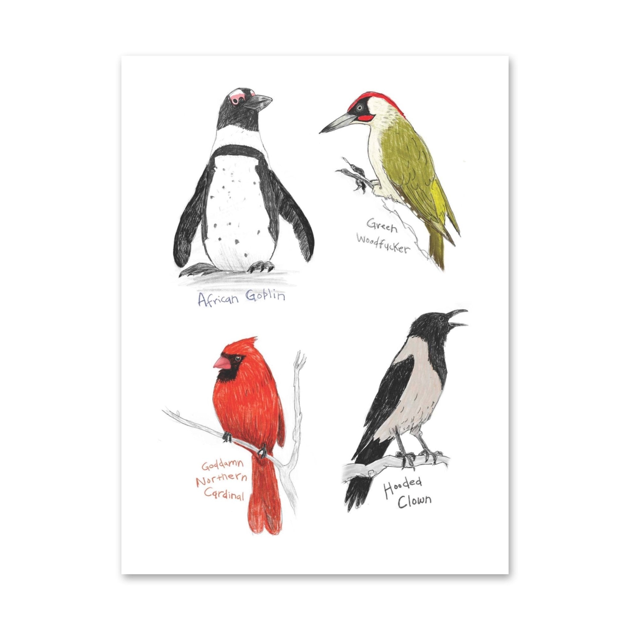 Field Guide to Dumb Birds Sticker Book - bubblegum market