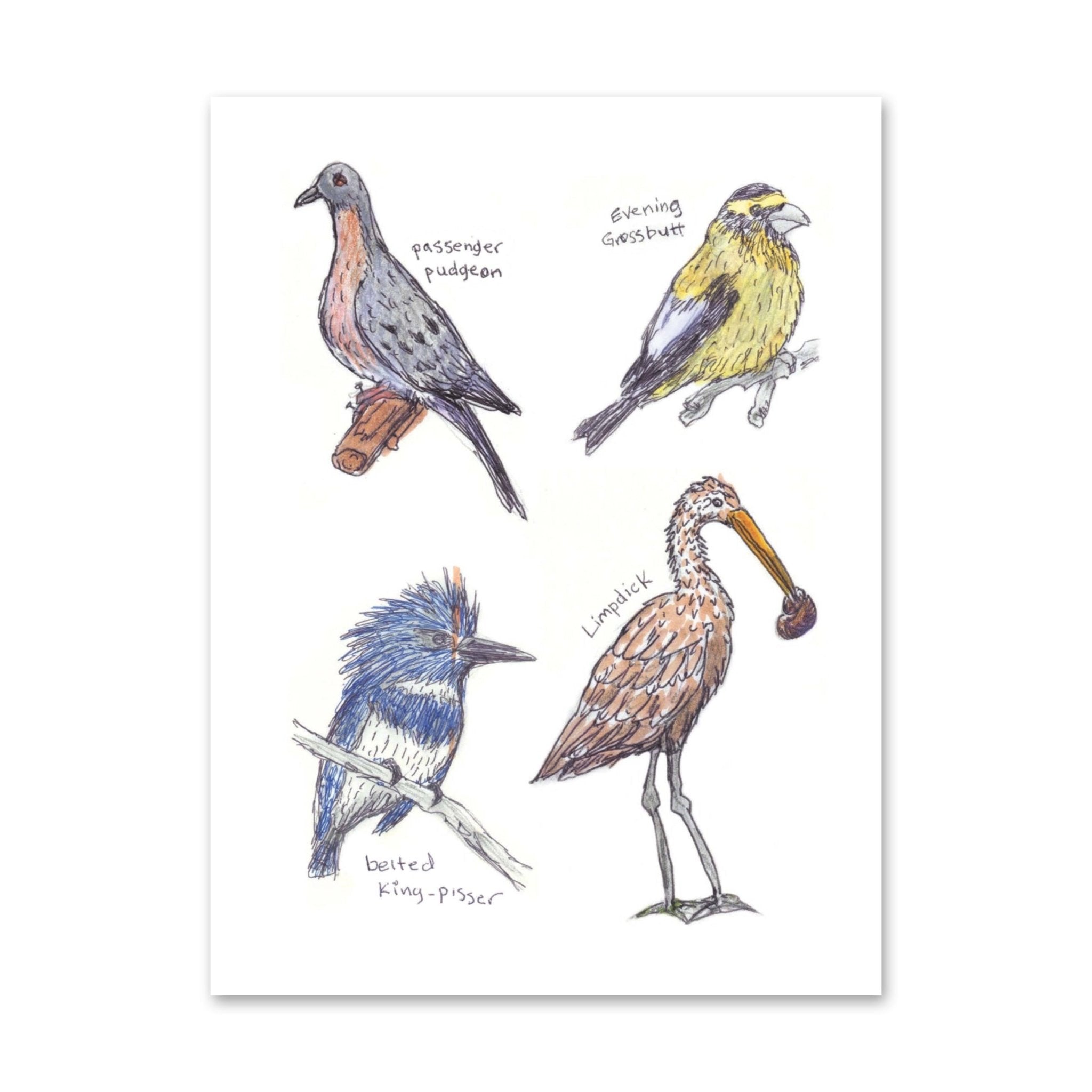 Field Guide to Dumb Birds Sticker Book - bubblegum market