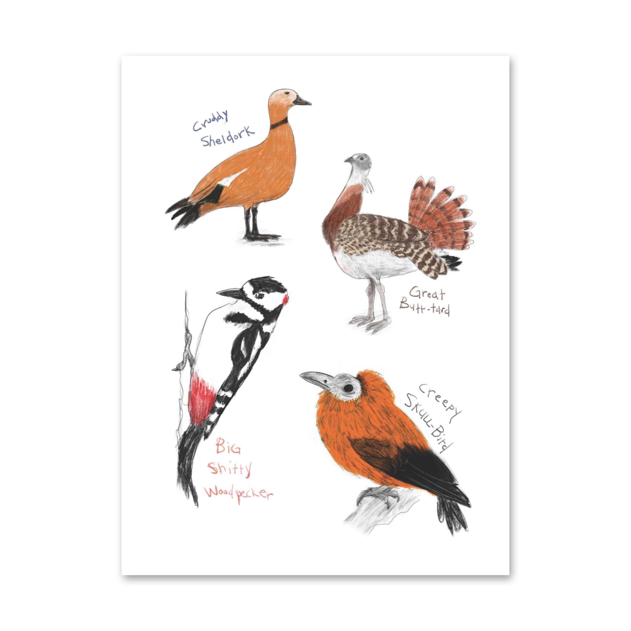 Field Guide to Dumb Birds Sticker Book - bubblegum market