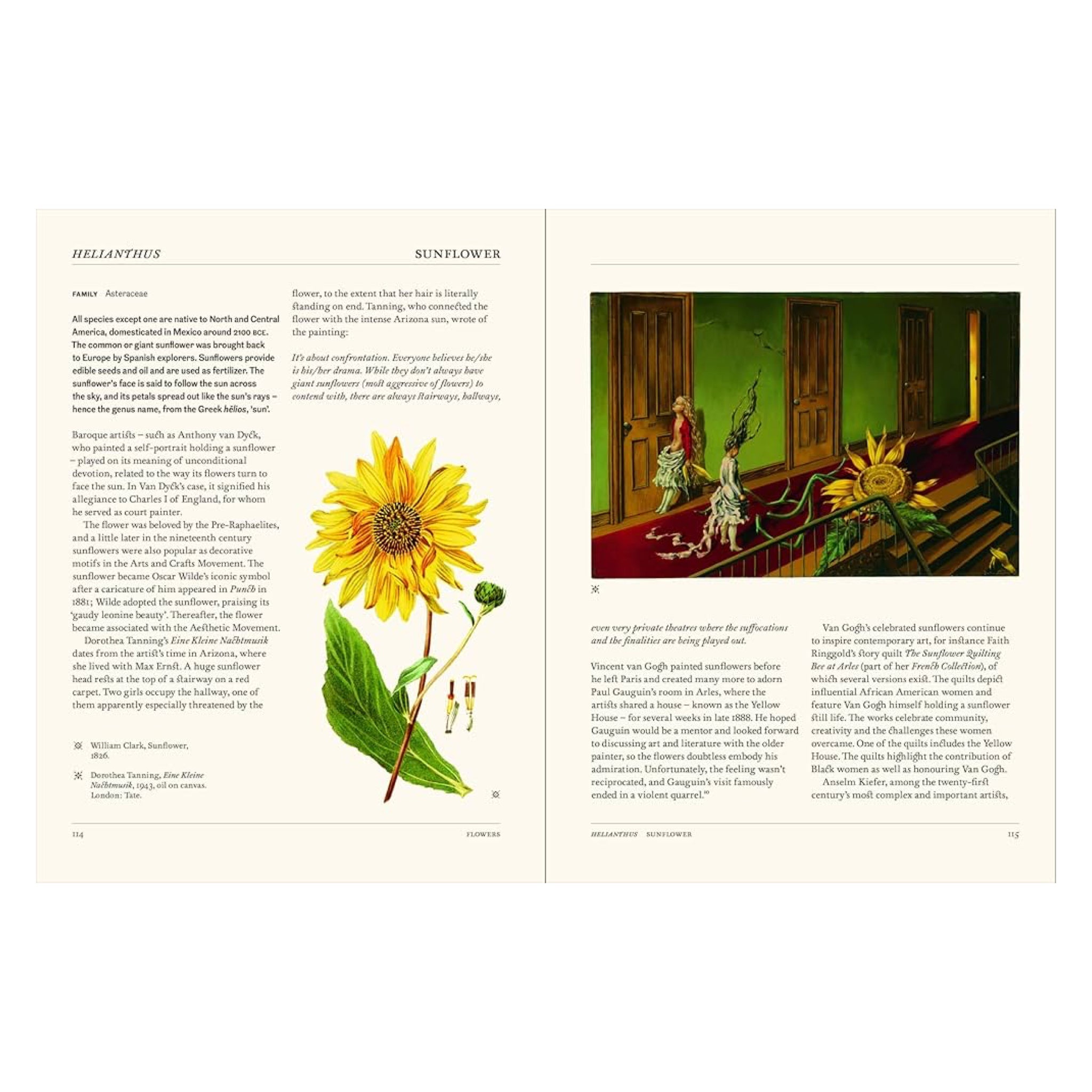 Flora: The Secret Language of Plants in Art - bubblegum market