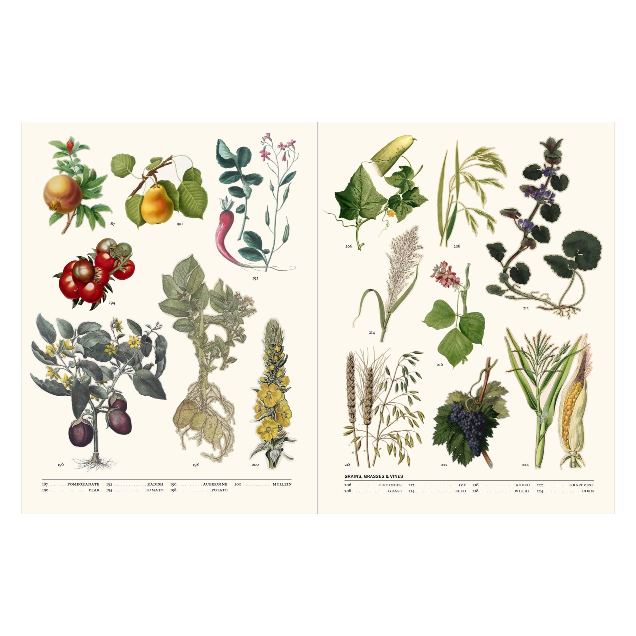Flora: The Secret Language of Plants in Art - bubblegum market
