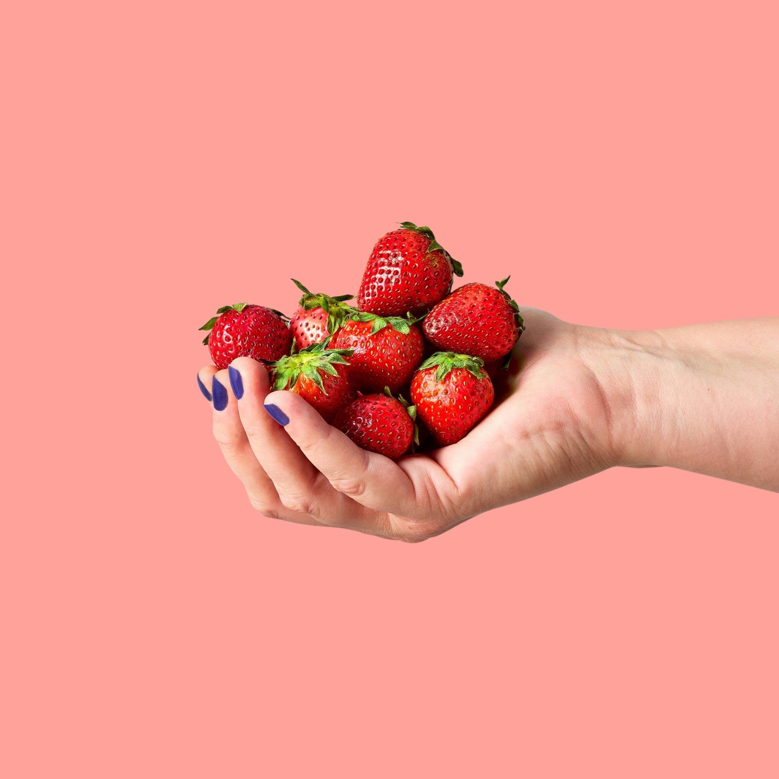 Garden Seed Pop: Strawberry - bubblegum market