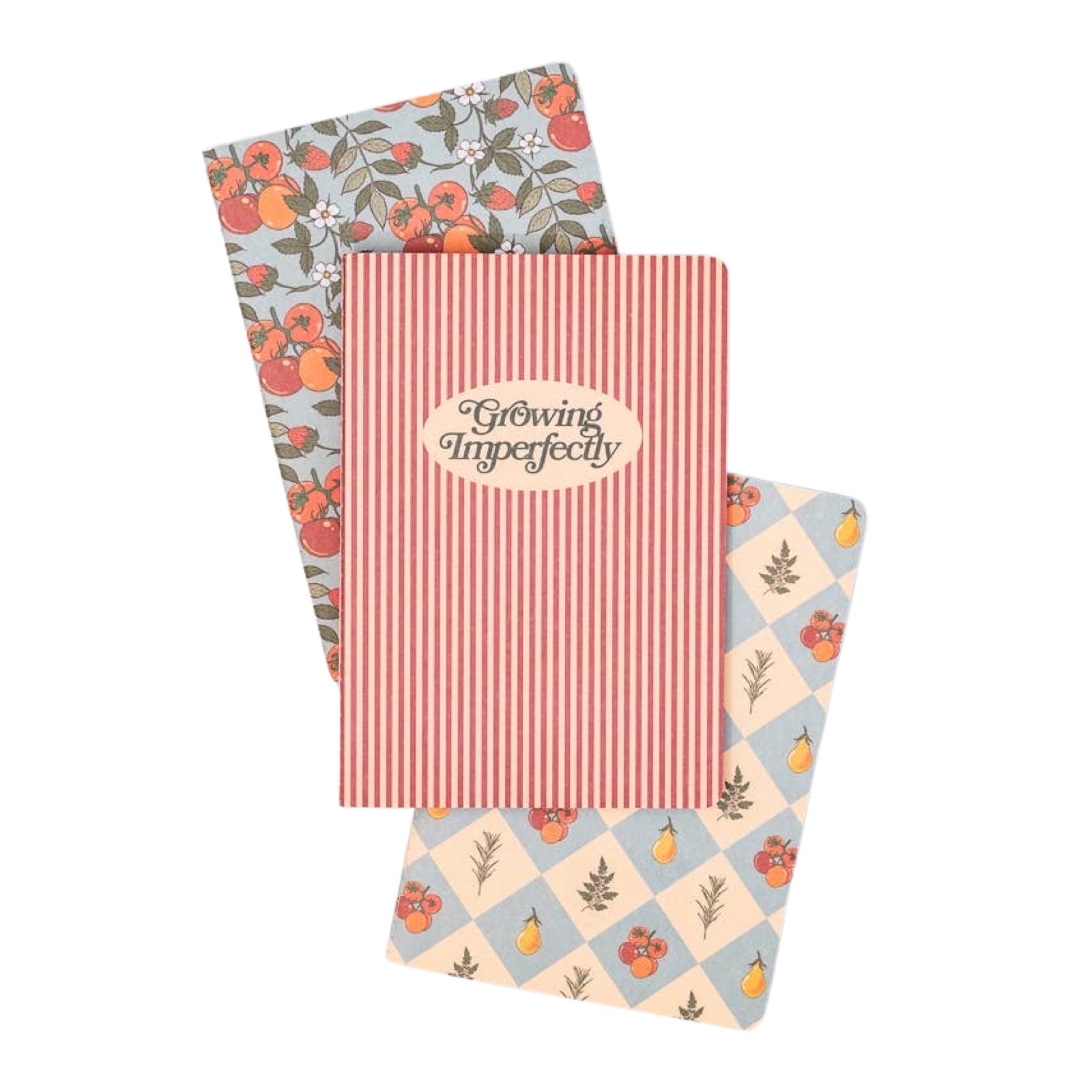 Growing Imperfectly Rough Draft Notebook Set - bubblegum market