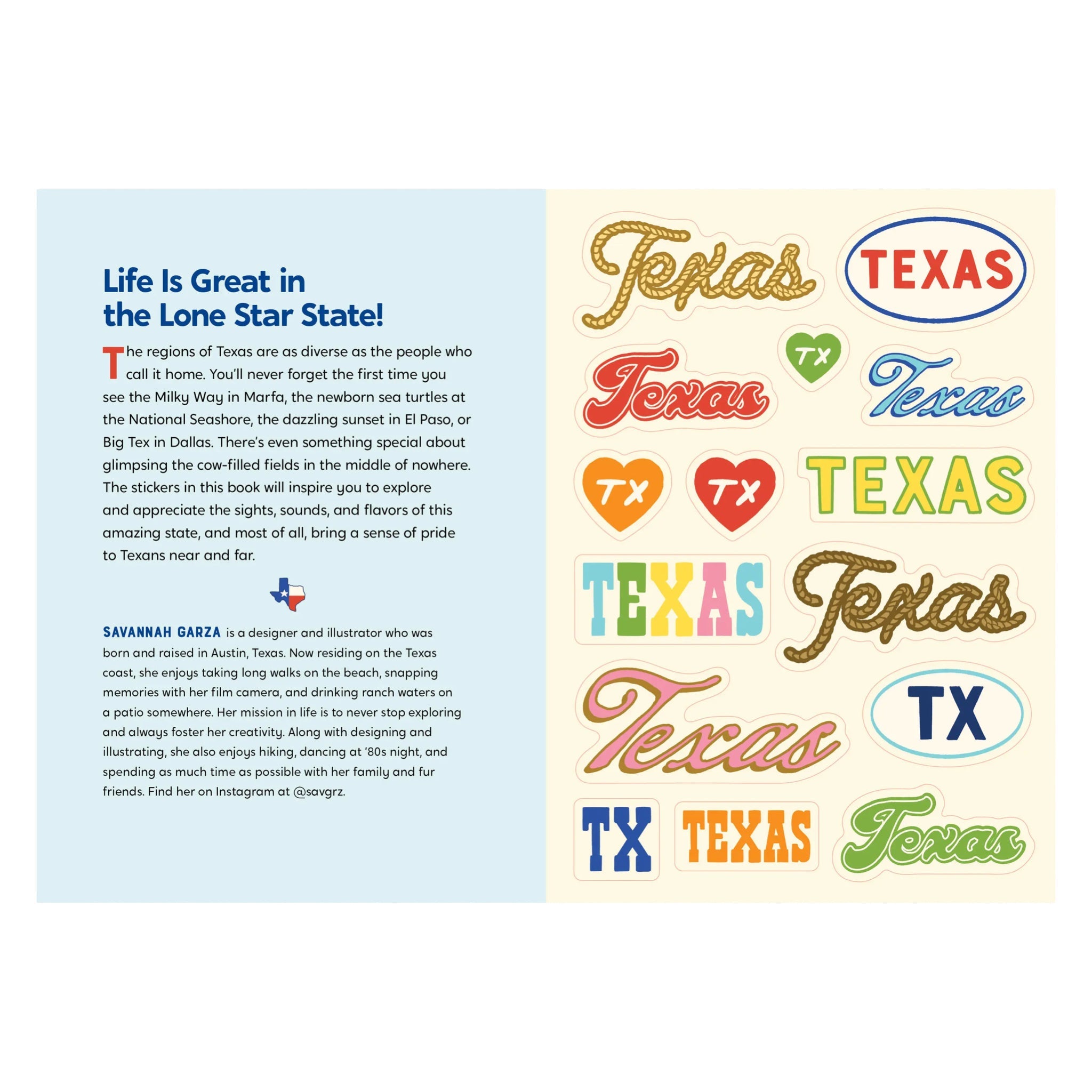 I Love Texas Sticker Book - bubblegum market