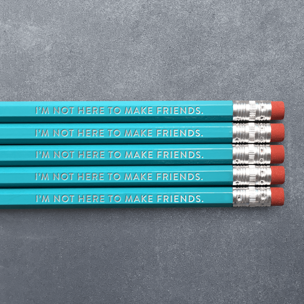 I'M NOT HERE TO MAKE FRIENDS Turquoise Pencil Pack - bubblegum market