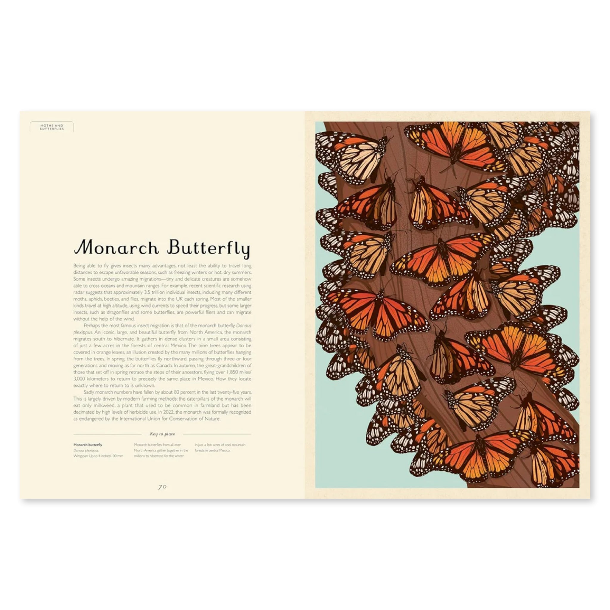 Insectarium: Welcome to the Museum - bubblegum market