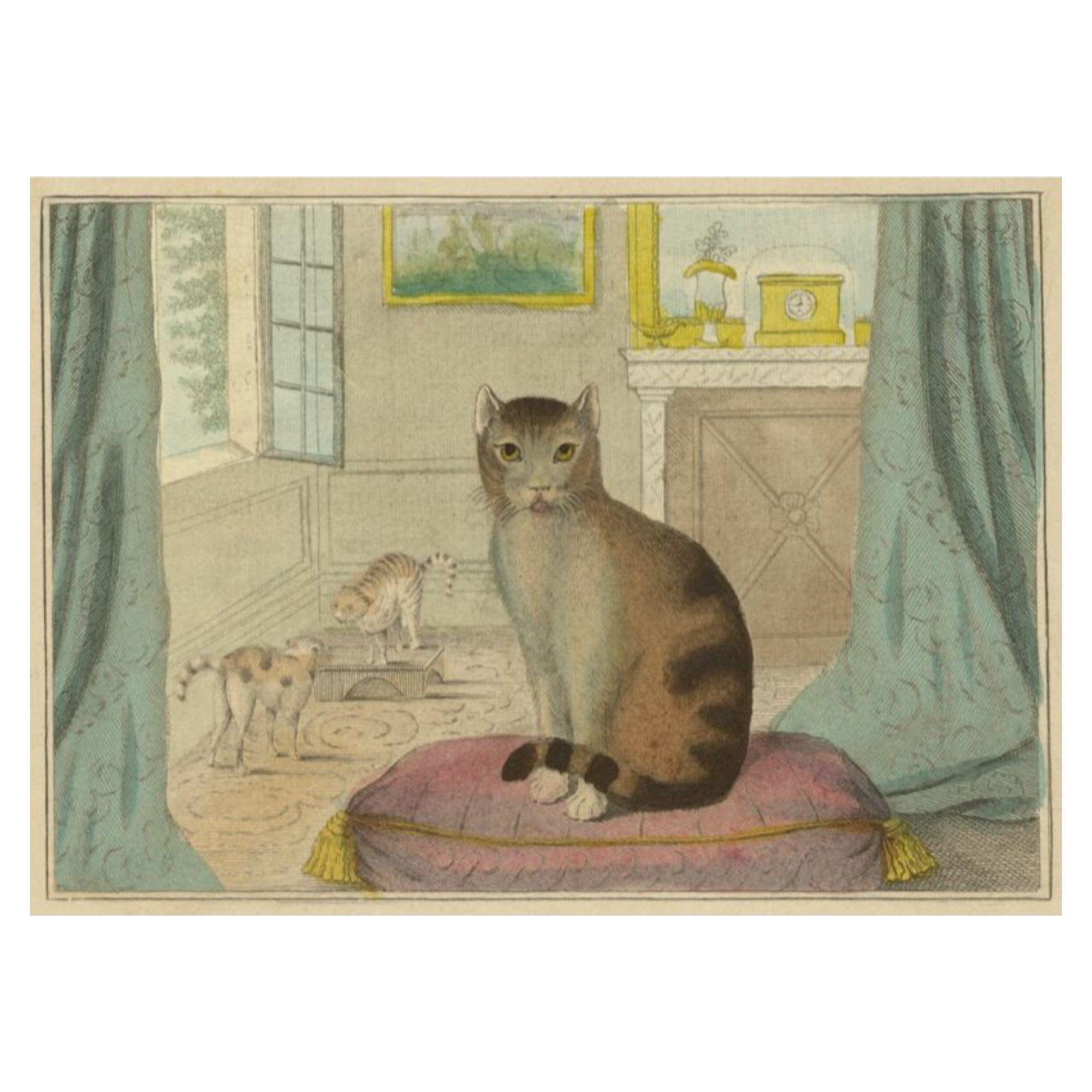 John Derian Calm Cat 750 - Piece Puzzle - bubblegum market