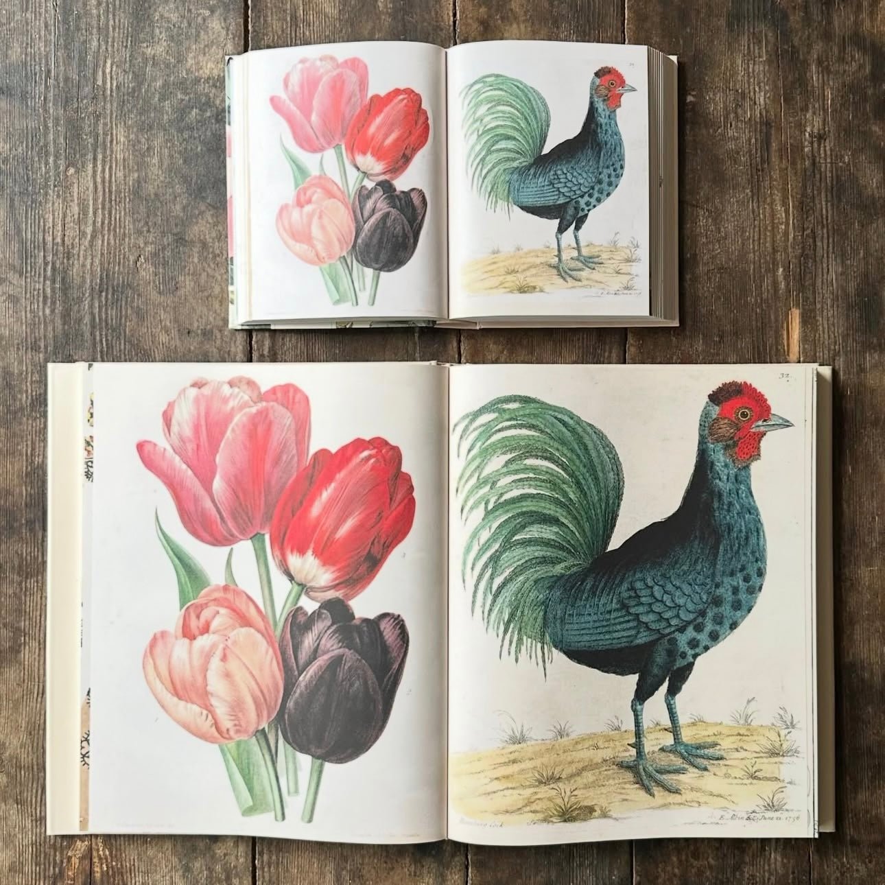 John Derian Sticker Book II - bubblegum market