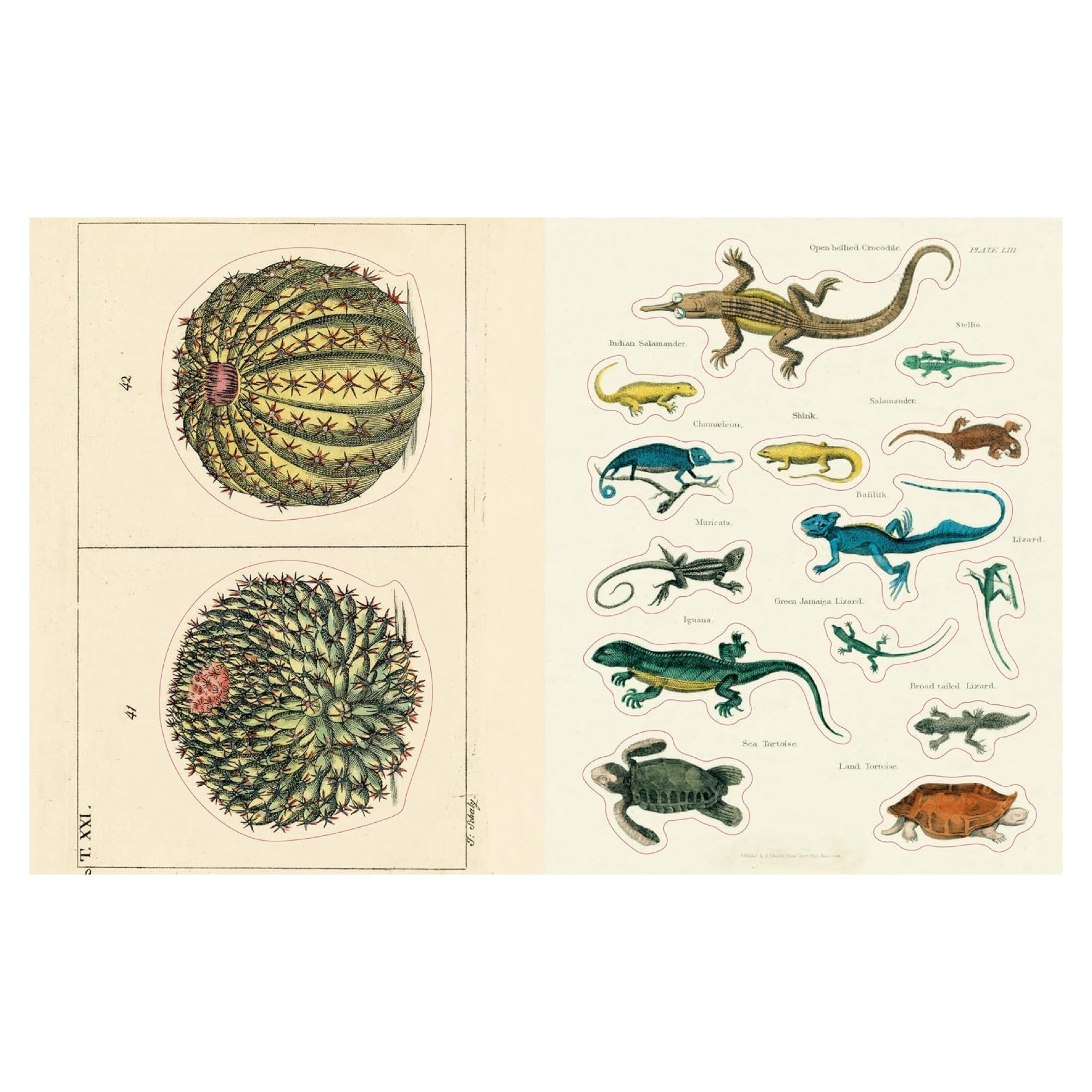 John Derian Sticker Book II - bubblegum market