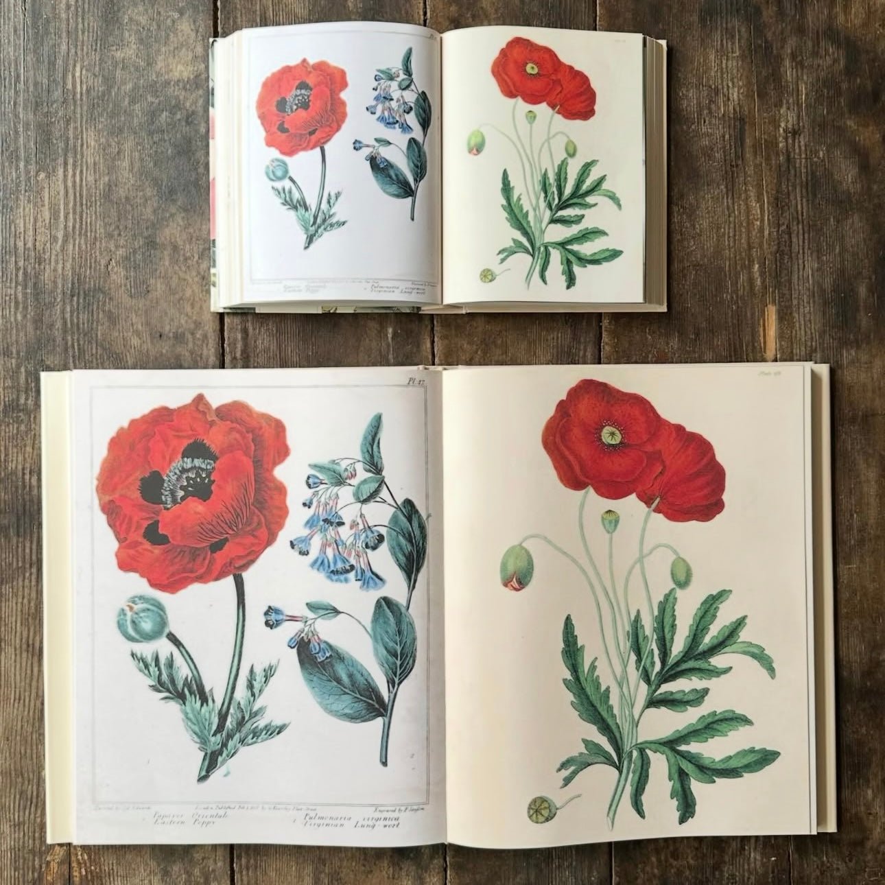 John Derian Sticker Book II - bubblegum market