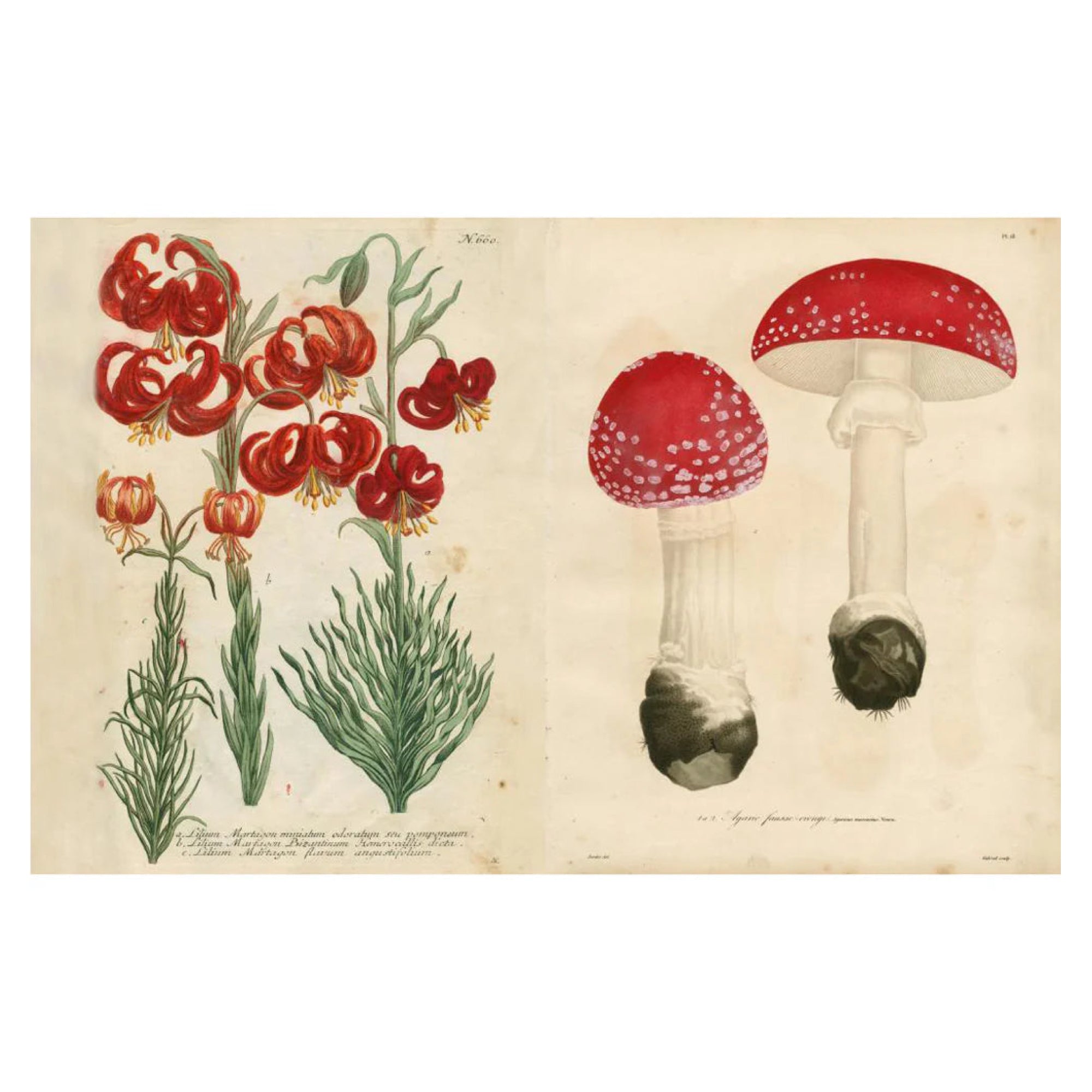 John Derian Sticker Book II - bubblegum market