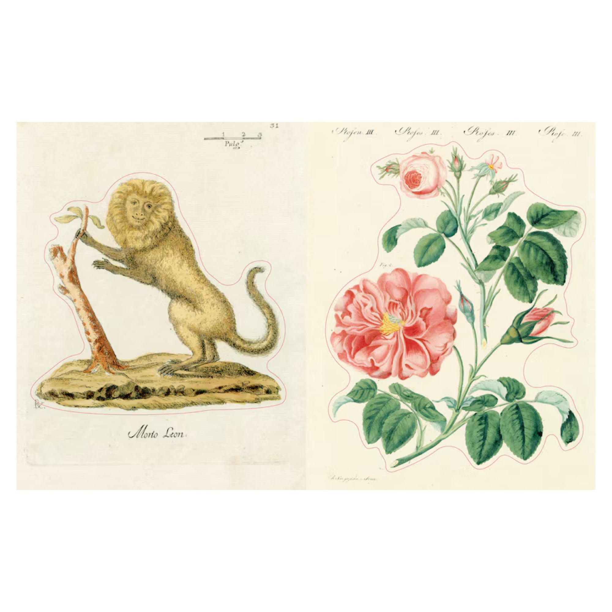 John Derian Sticker Book II - bubblegum market