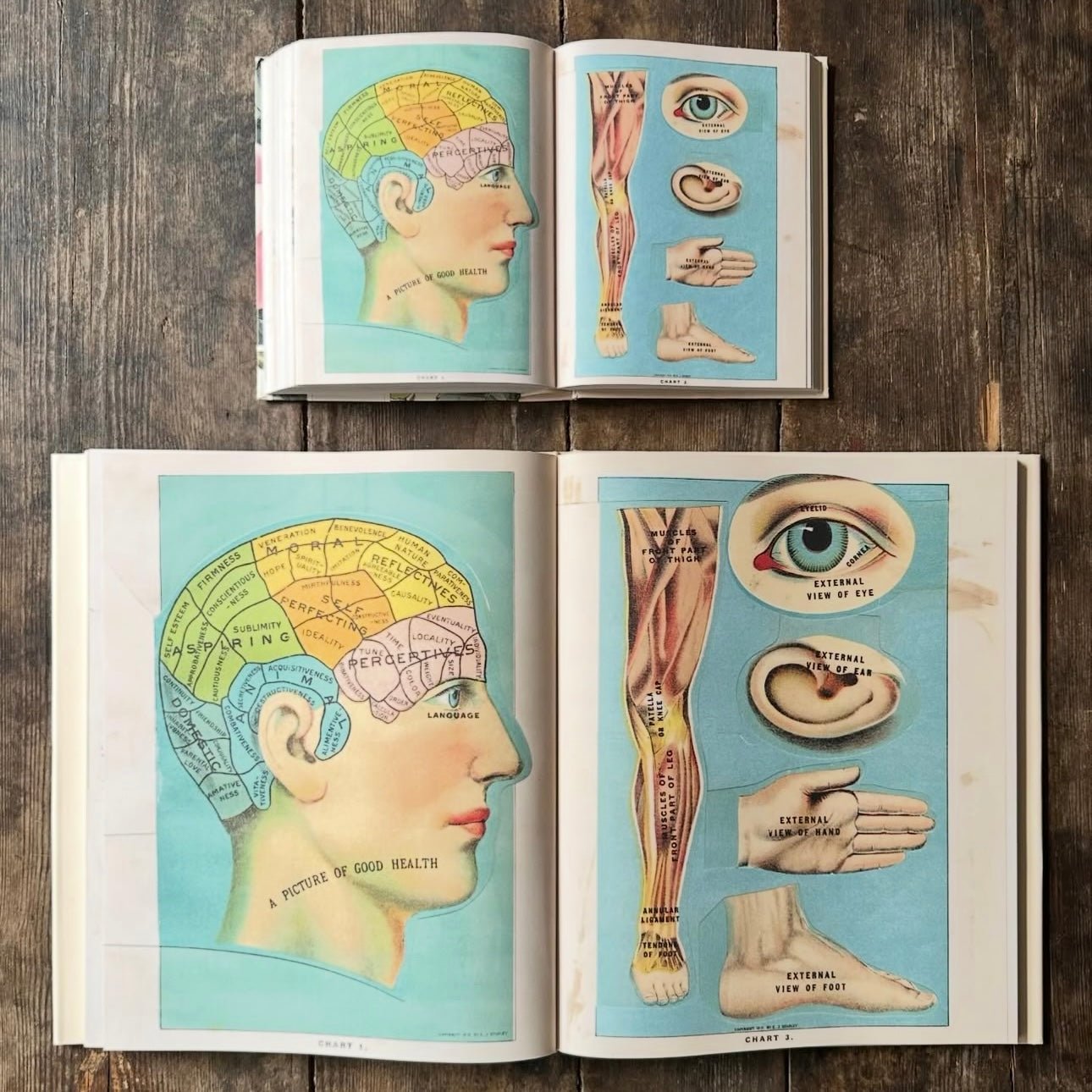 John Derian Sticker Book II - bubblegum market