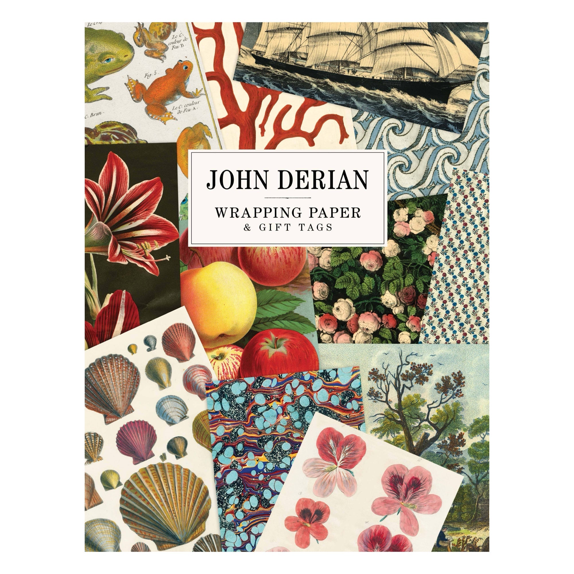 John Derian Wrapping Paper & Gift Tags - bubblegum market