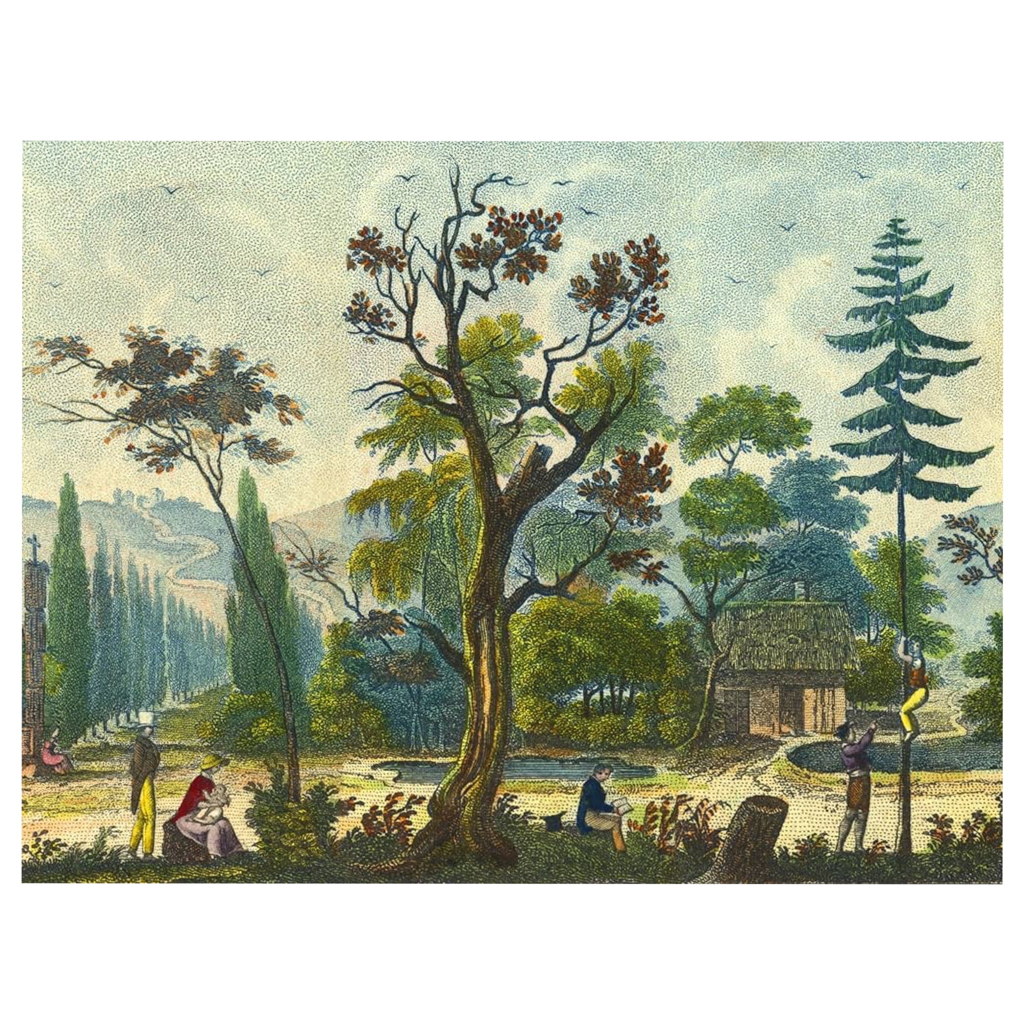 John Derian Wrapping Paper & Gift Tags - bubblegum market