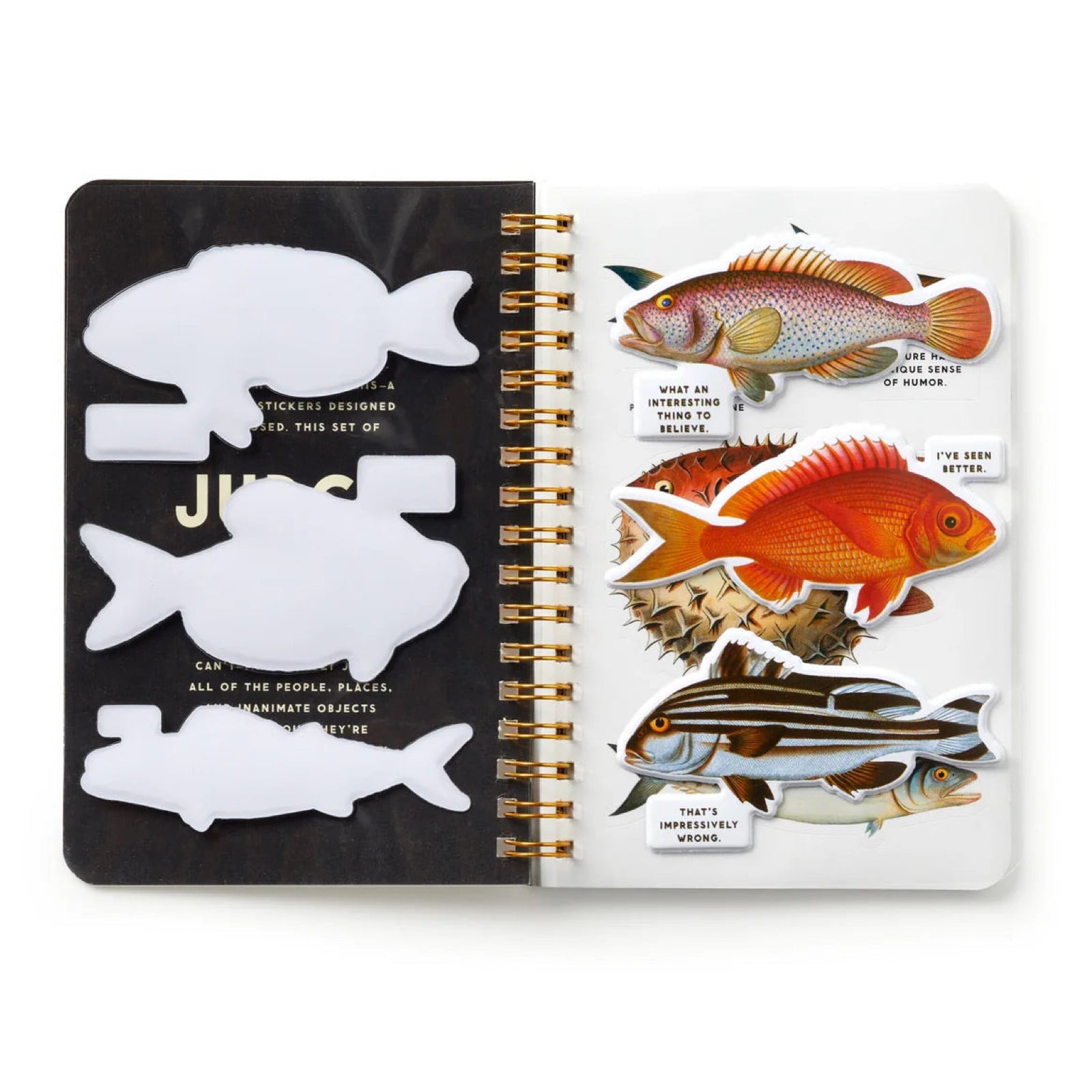 Judgy Fish Sticker Book - bubblegum market