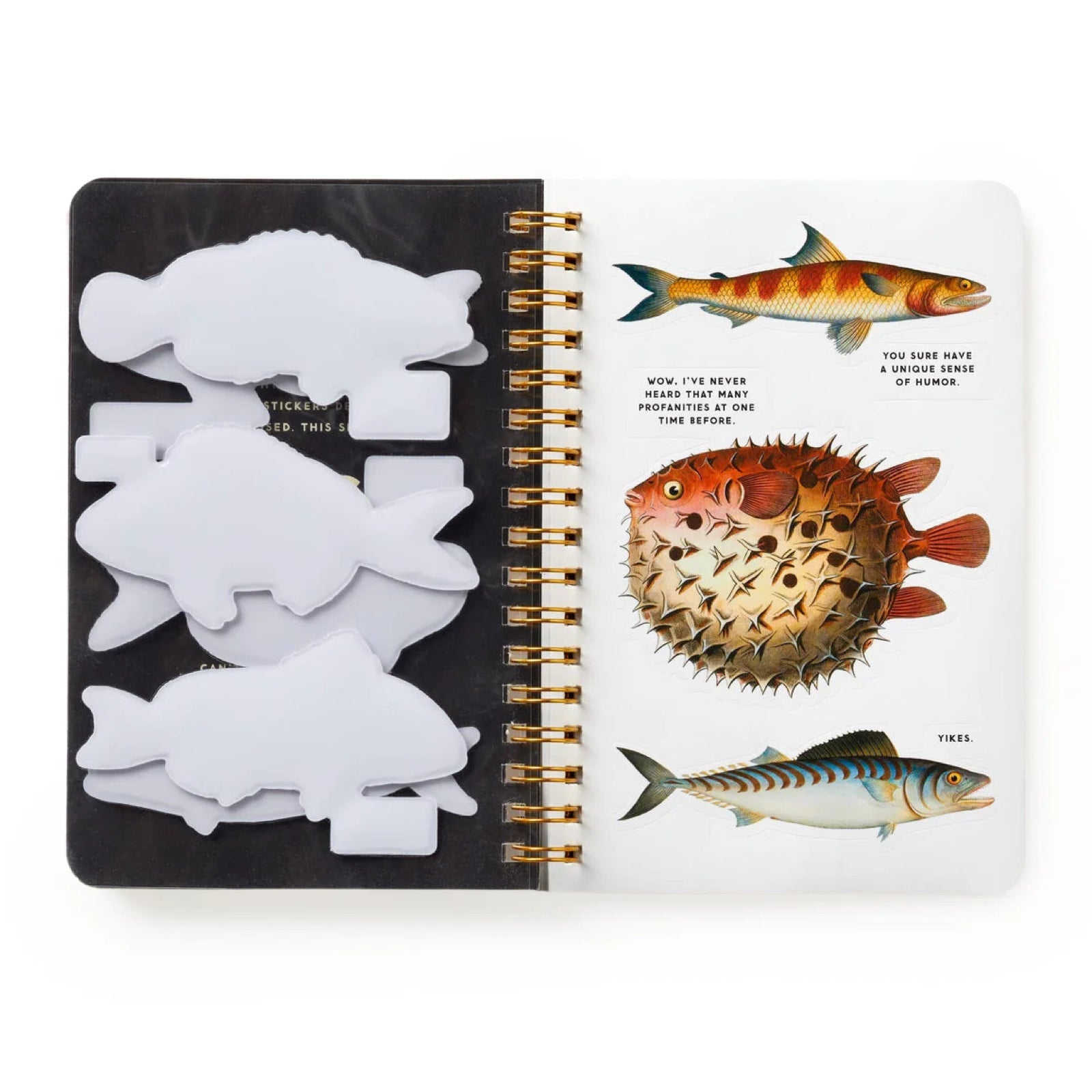 Judgy Fish Sticker Book - bubblegum market
