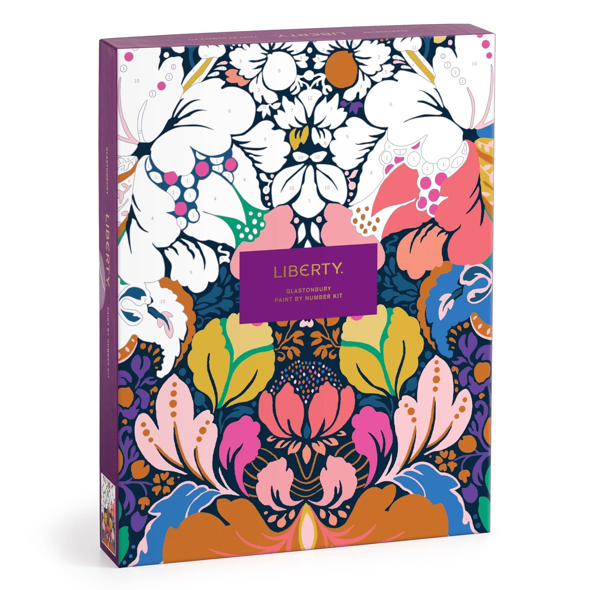 Liberty Glastonbury Paint - by - Number Kit - bubblegum market