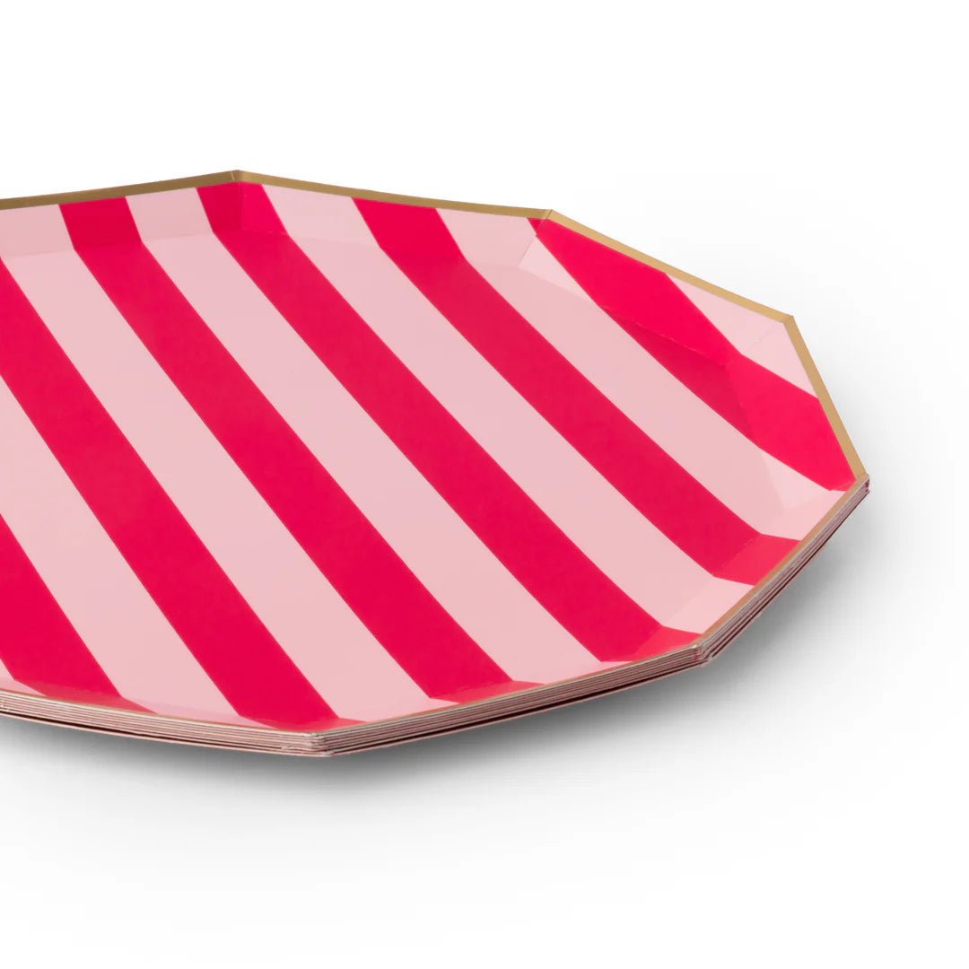 Light & Haute Pink Cabana Stripe Large Plates 10.75" - bubblegum market