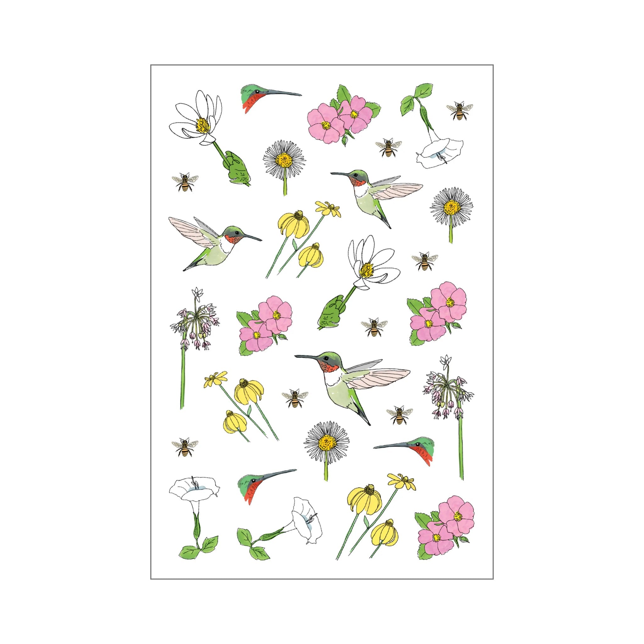 Nature Anatomy Sticker Book - bubblegum market