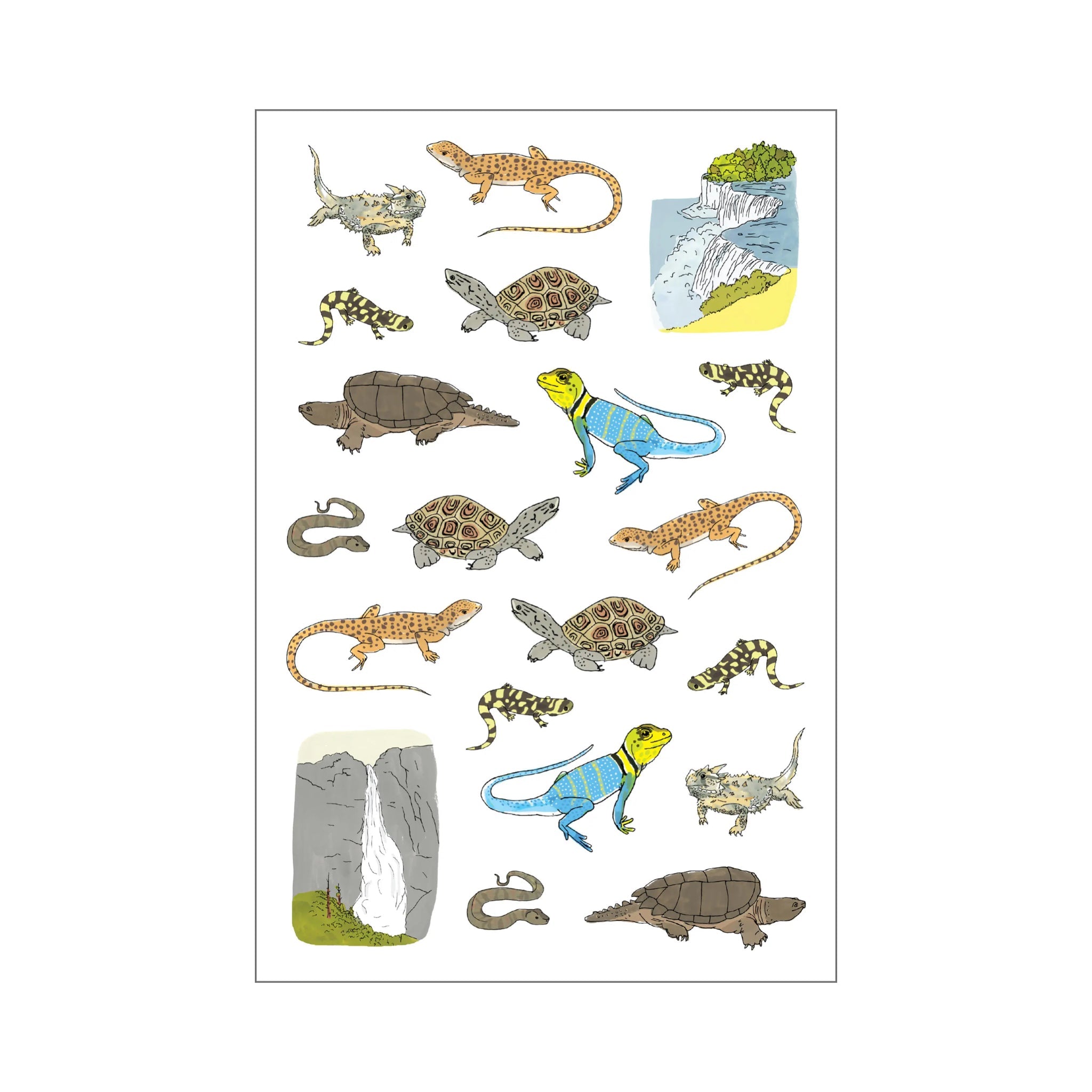 Nature Anatomy Sticker Book - bubblegum market