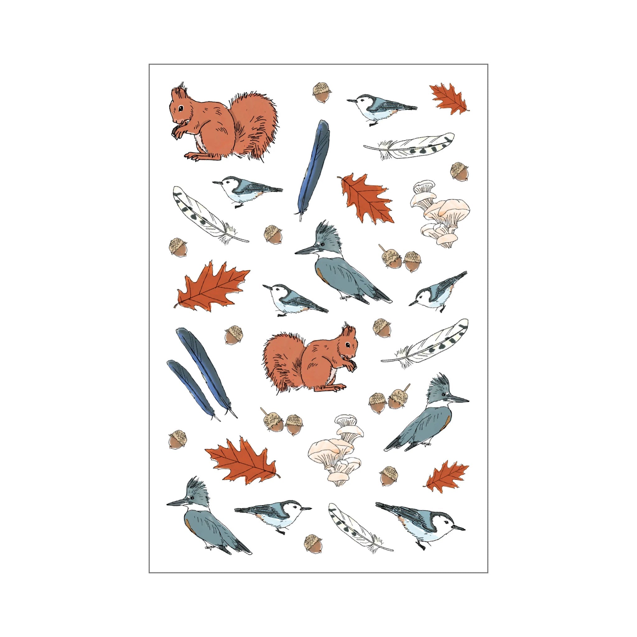 Nature Anatomy Sticker Book - bubblegum market