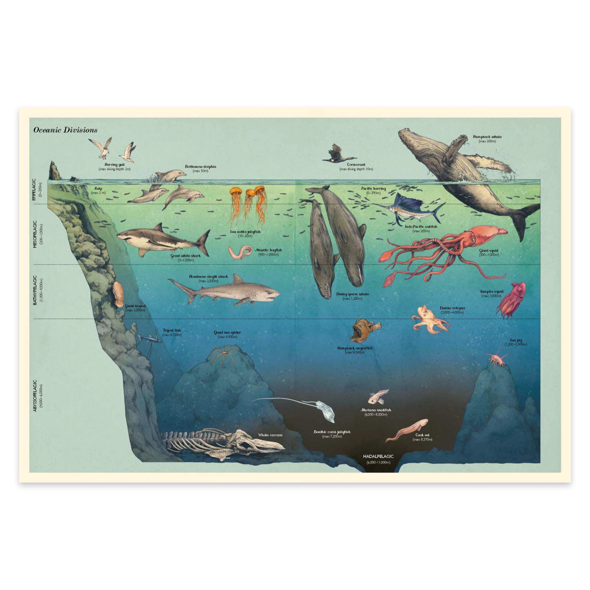 Oceanarium: Welcome to the Museum - bubblegum market