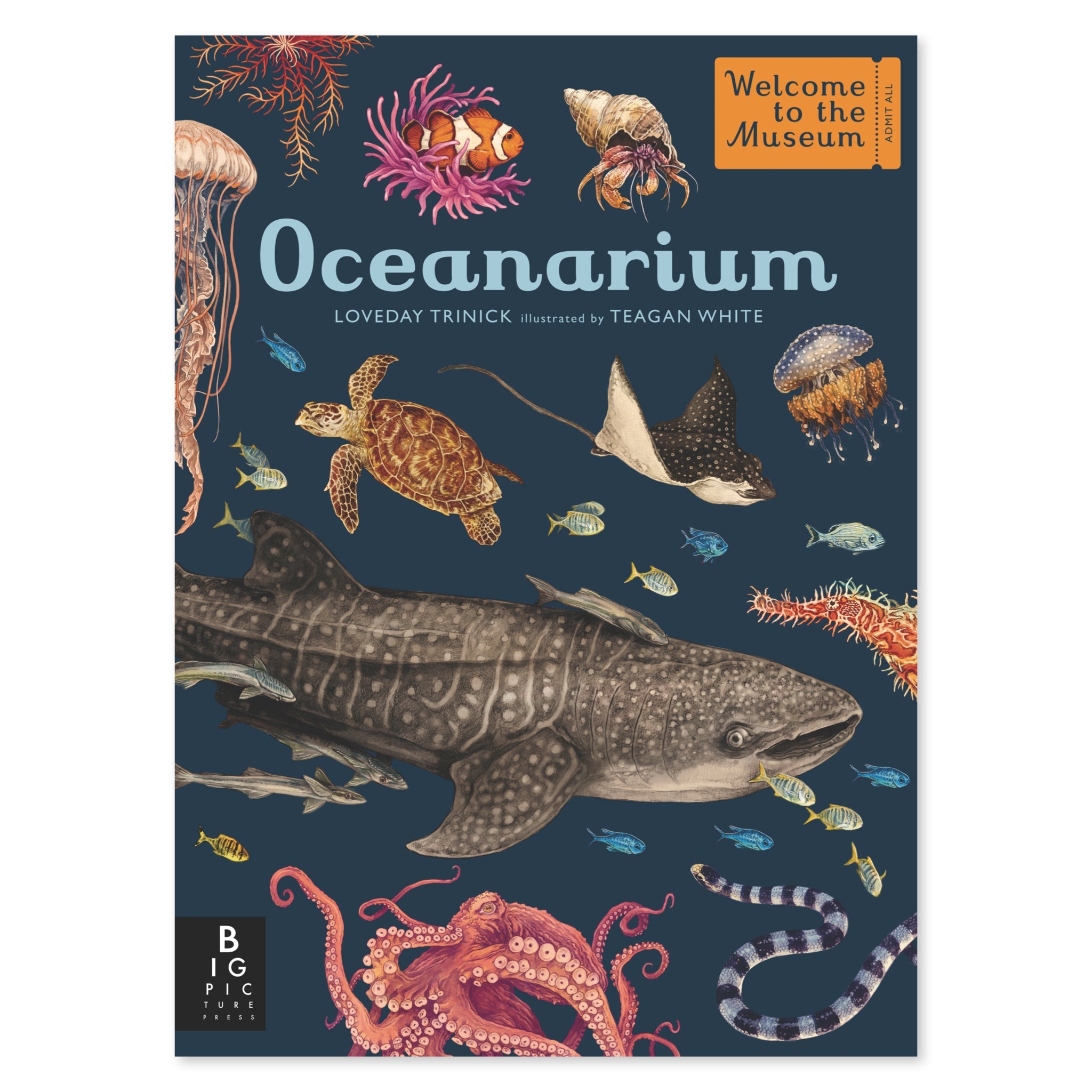 Oceanarium: Welcome to the Museum - bubblegum market