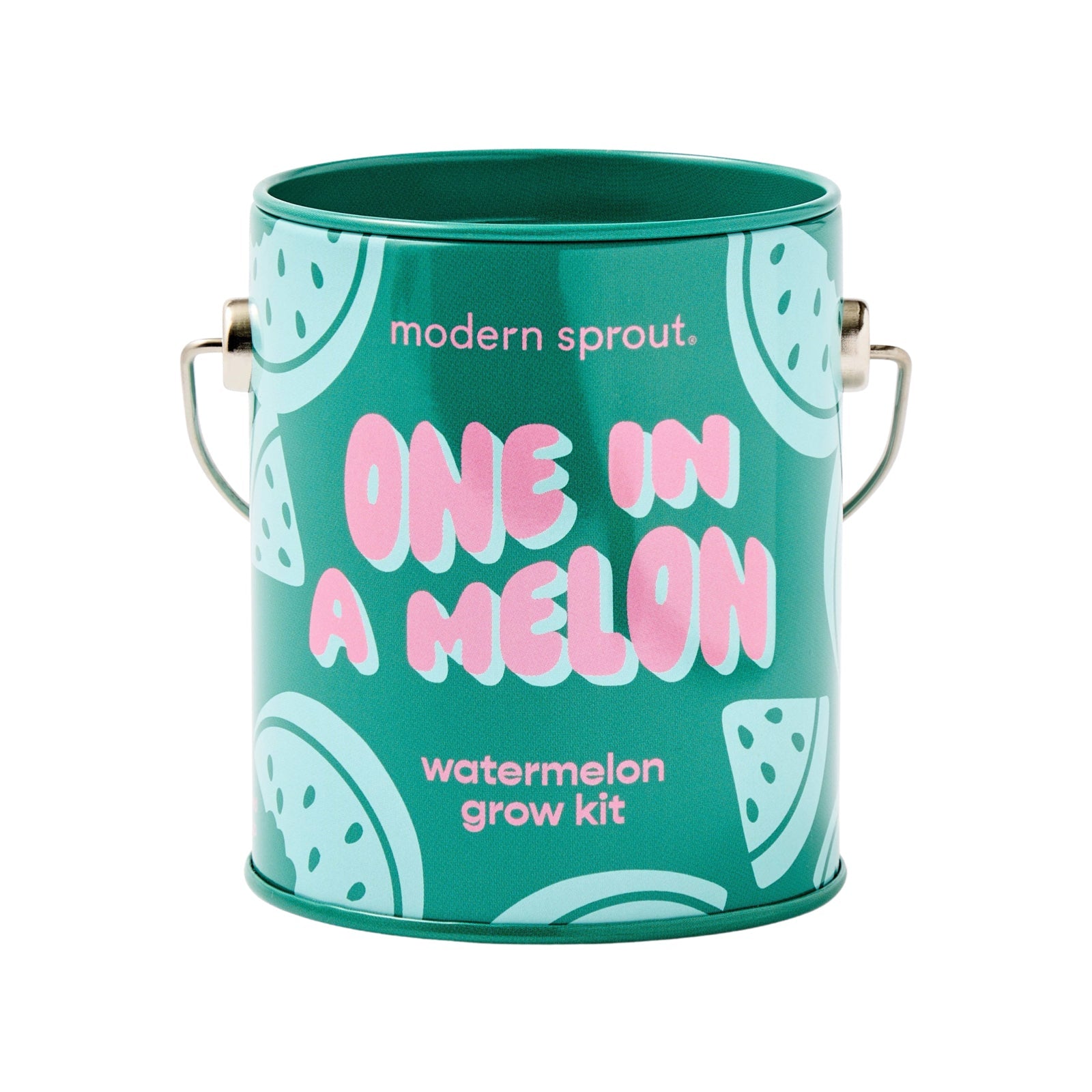 One in a Melon Baby Watermelon Grow Kit - bubblegum market