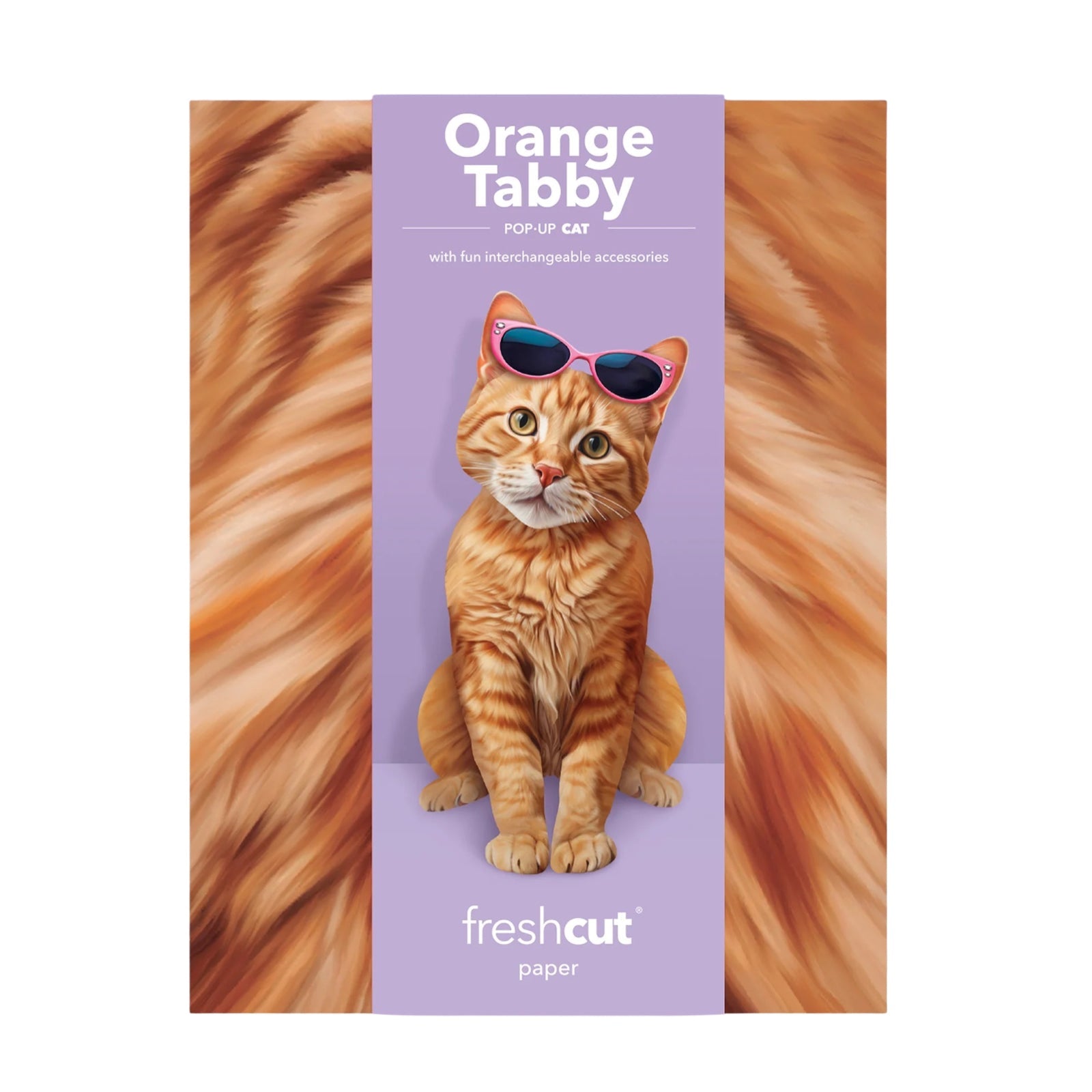 Orange Tabby Pop - Up Pet Card - bubblegum market