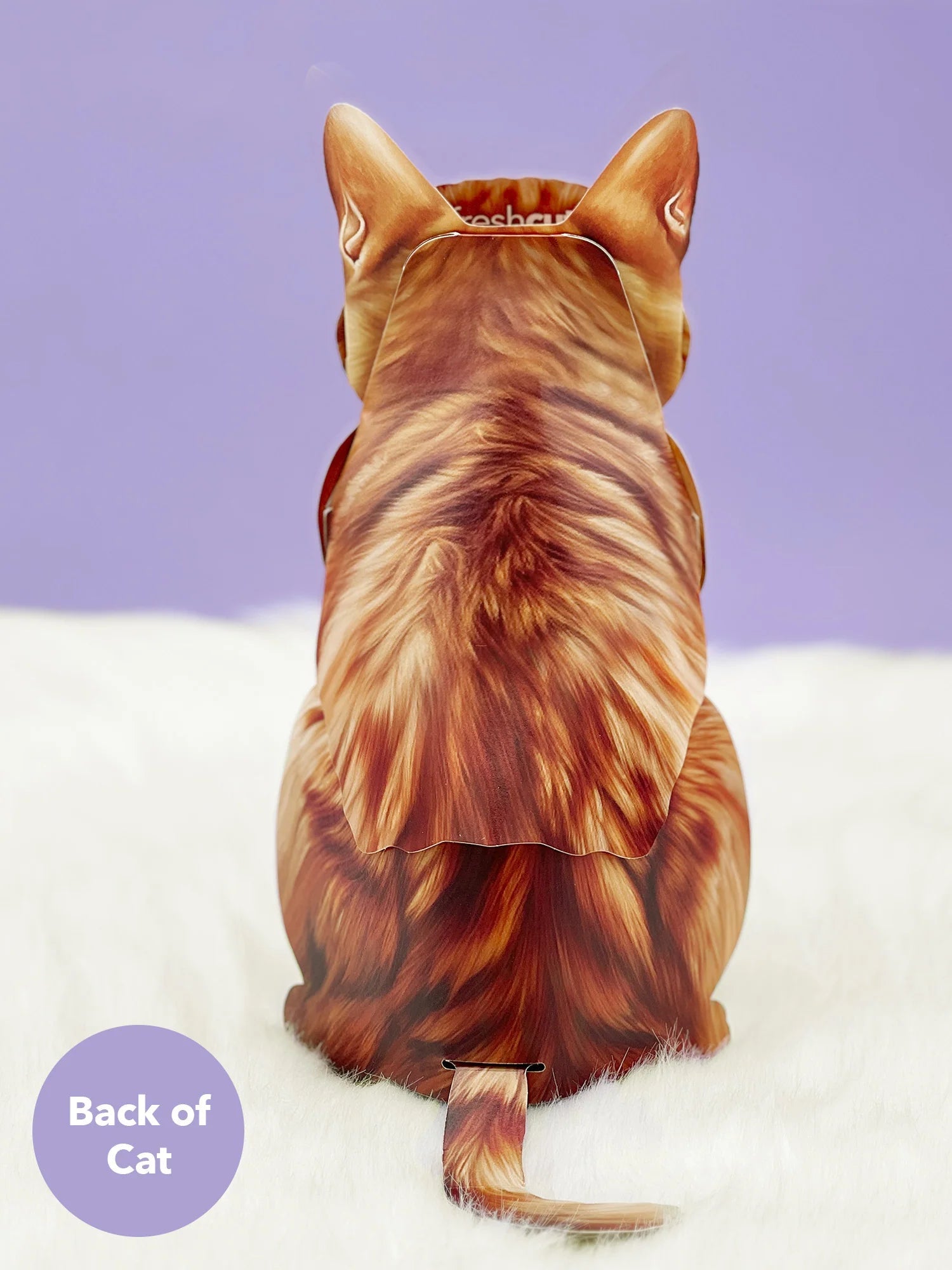 Orange Tabby Pop - Up Pet Card - bubblegum market