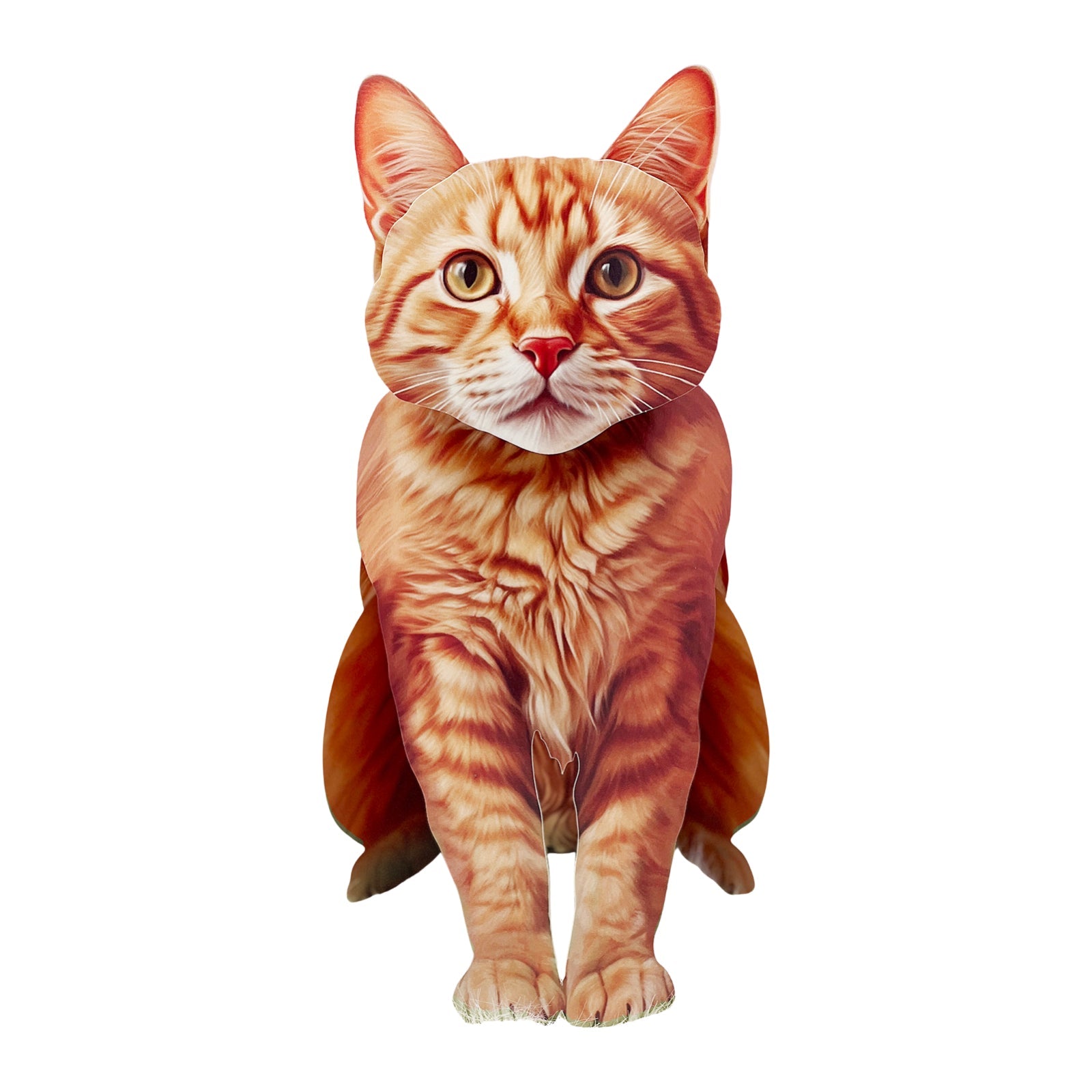 Orange Tabby Pop - Up Pet Card - bubblegum market