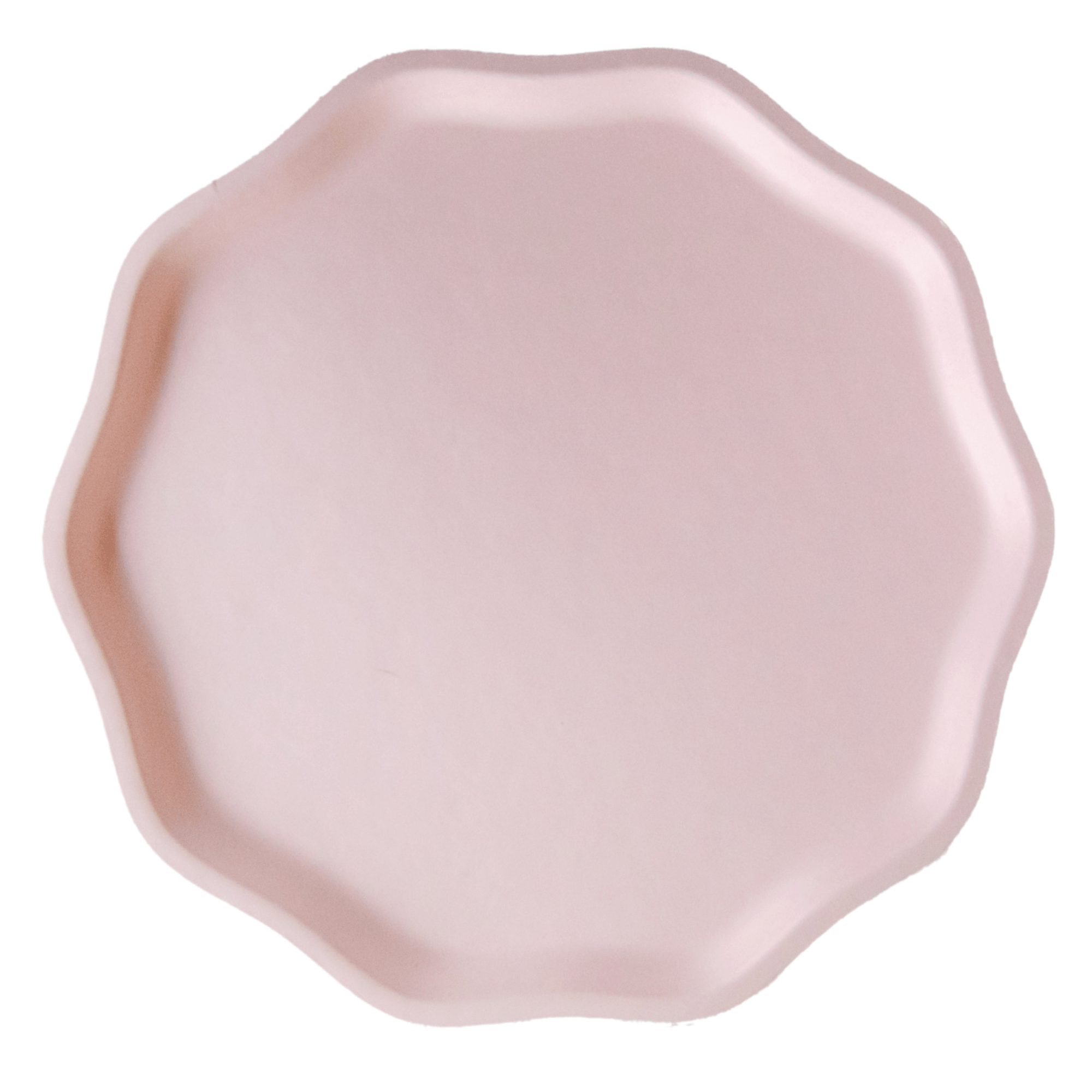 Petal Pink Compostable Dinner Plates 10.5" - bubblegum market