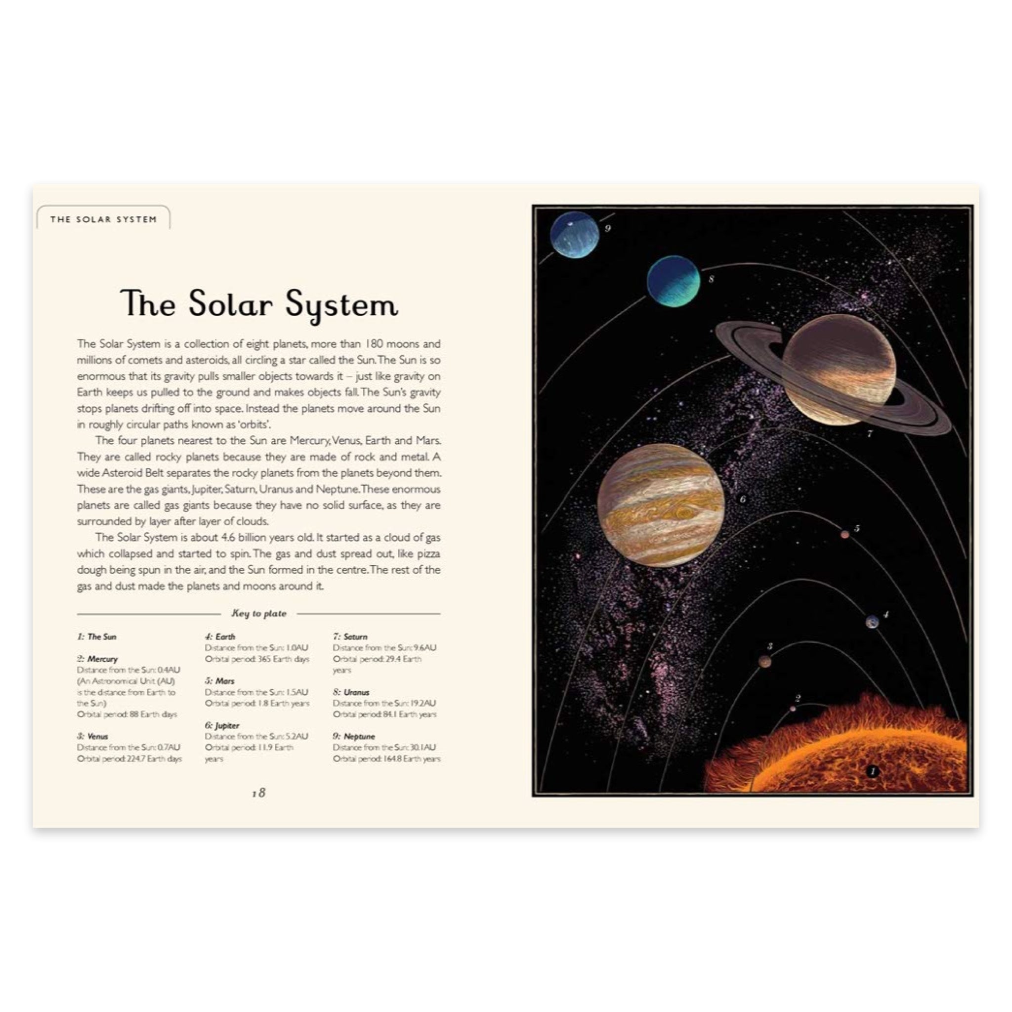 Planetarium: Welcome to the Museum - bubblegum market