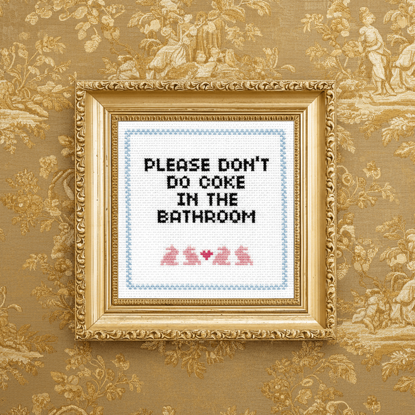 Please Don't Do Coke In The Bathroom Deluxe Cross - Stitch Kit - bubblegum market